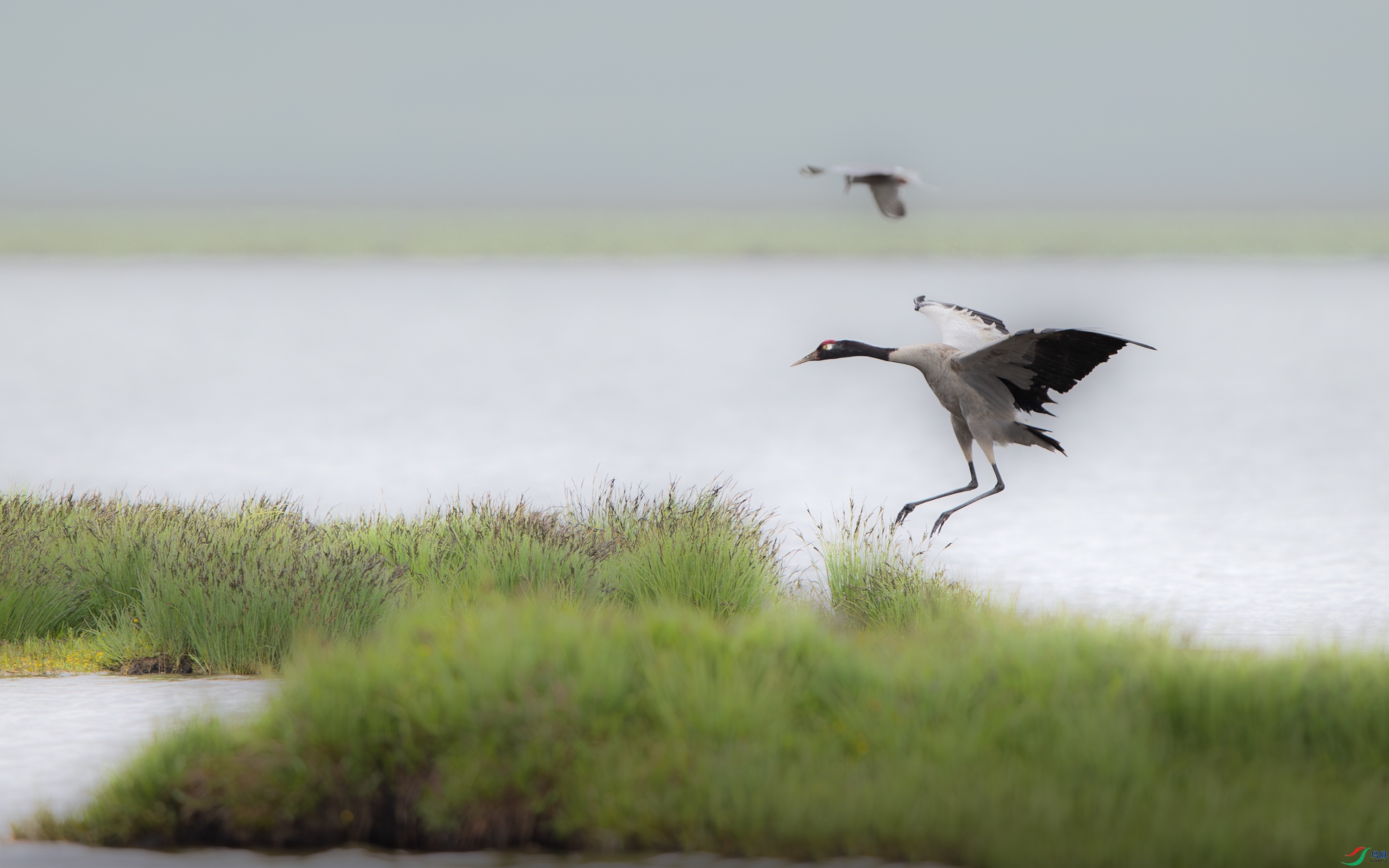 A15I4106- ����.jpg