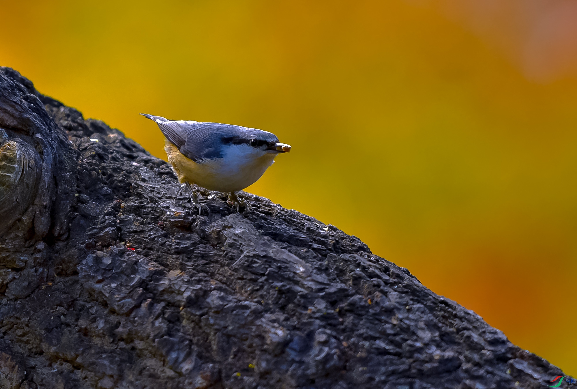 DSC_3277.JPG