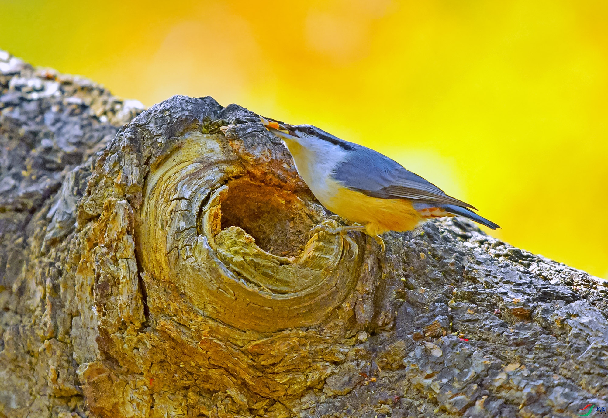 DSC_3302.JPG