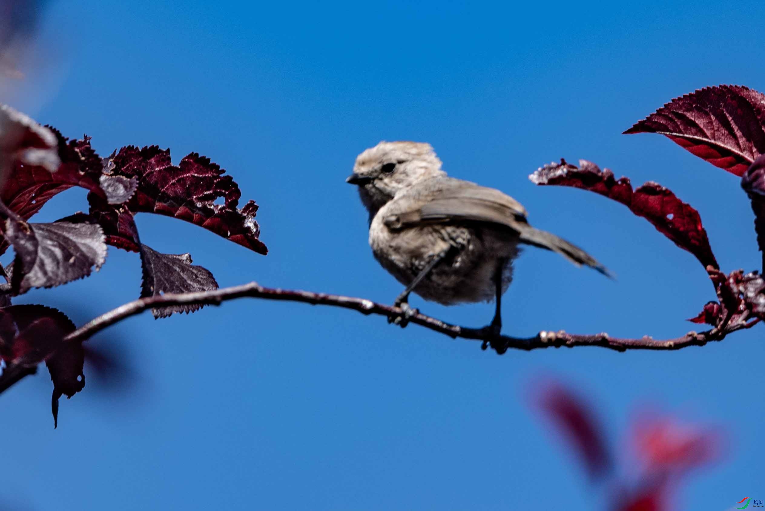 DSC_6796 ����2.jpg