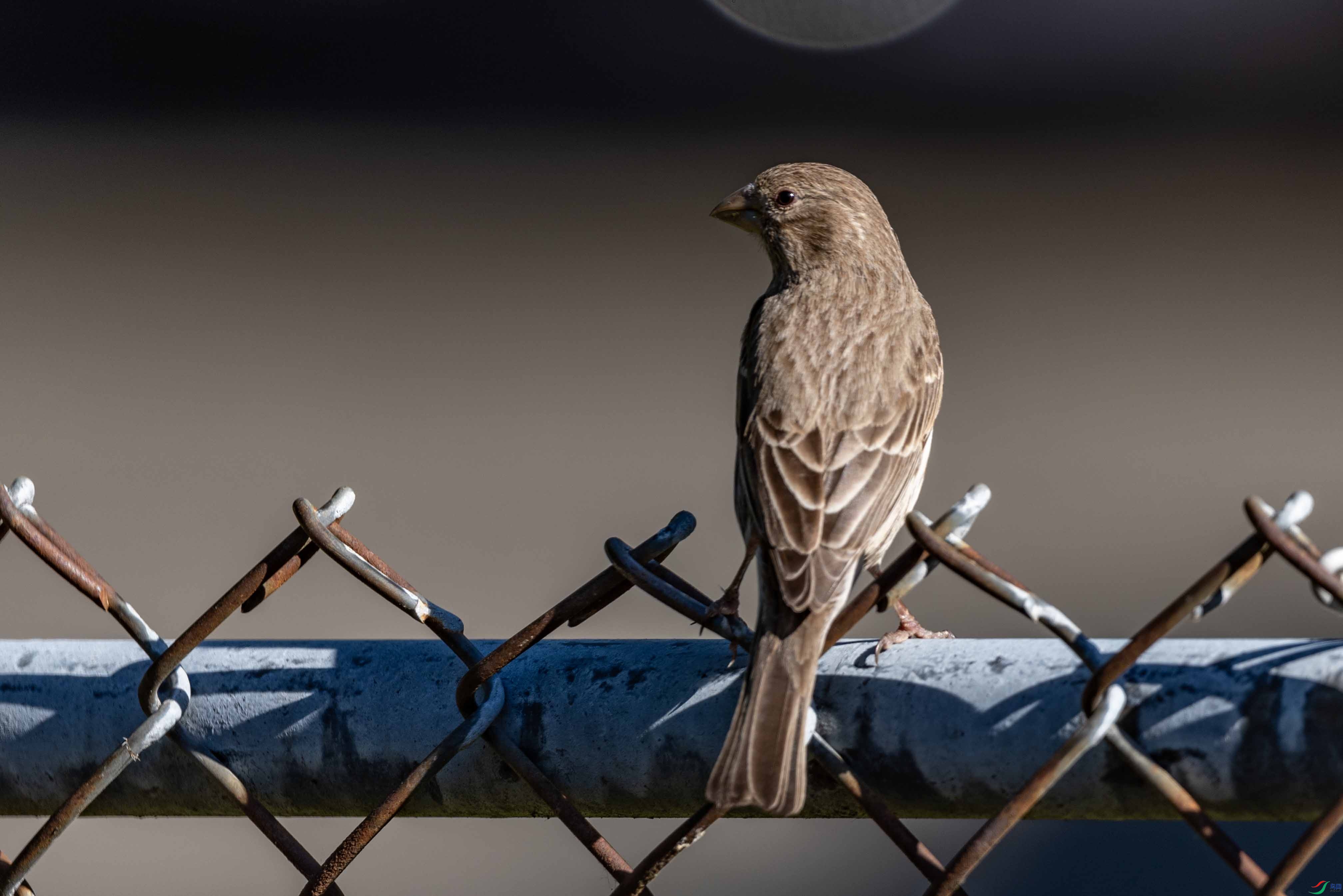 DSC_6742 ����2.jpg