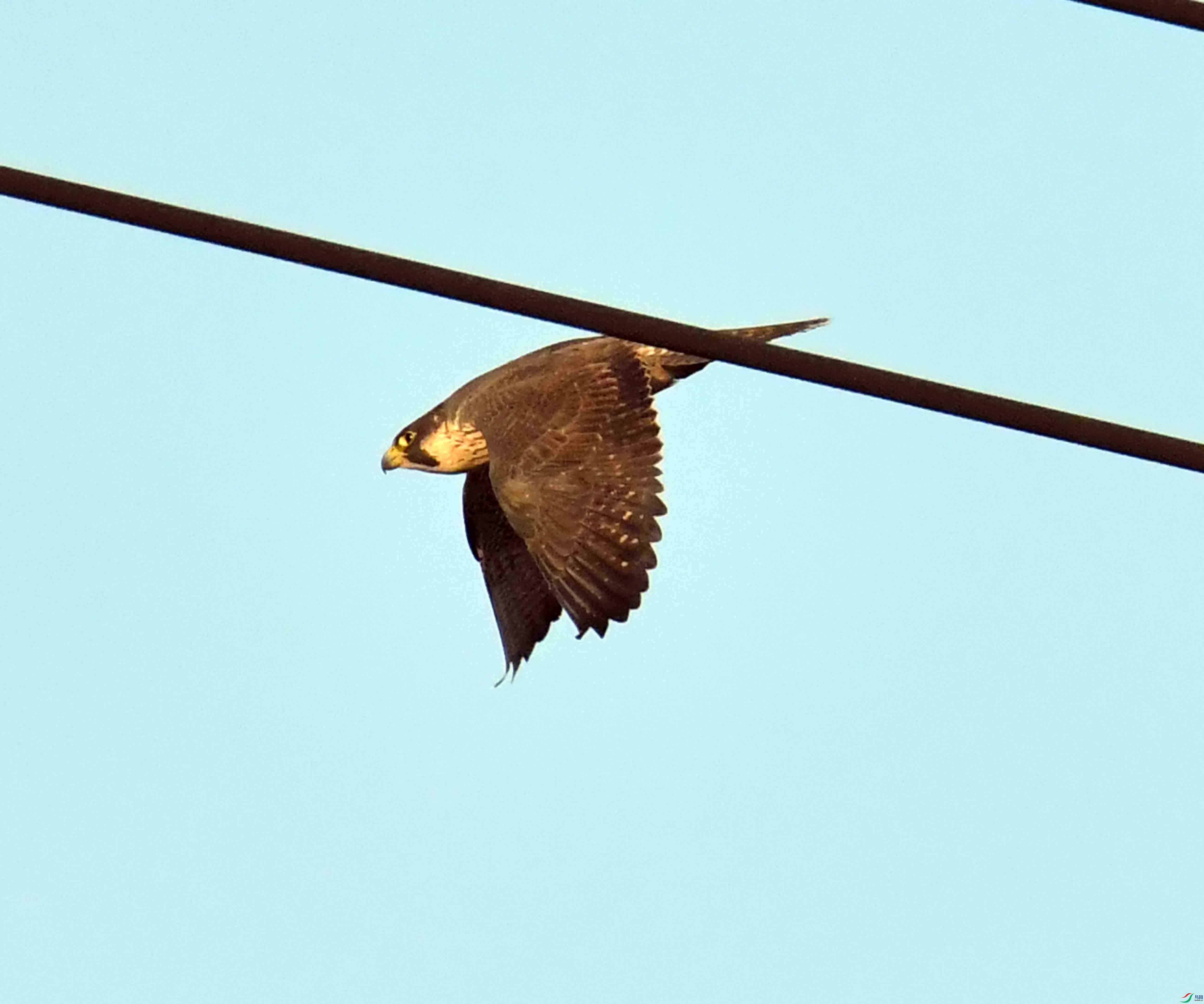 DSC_8926.JPG