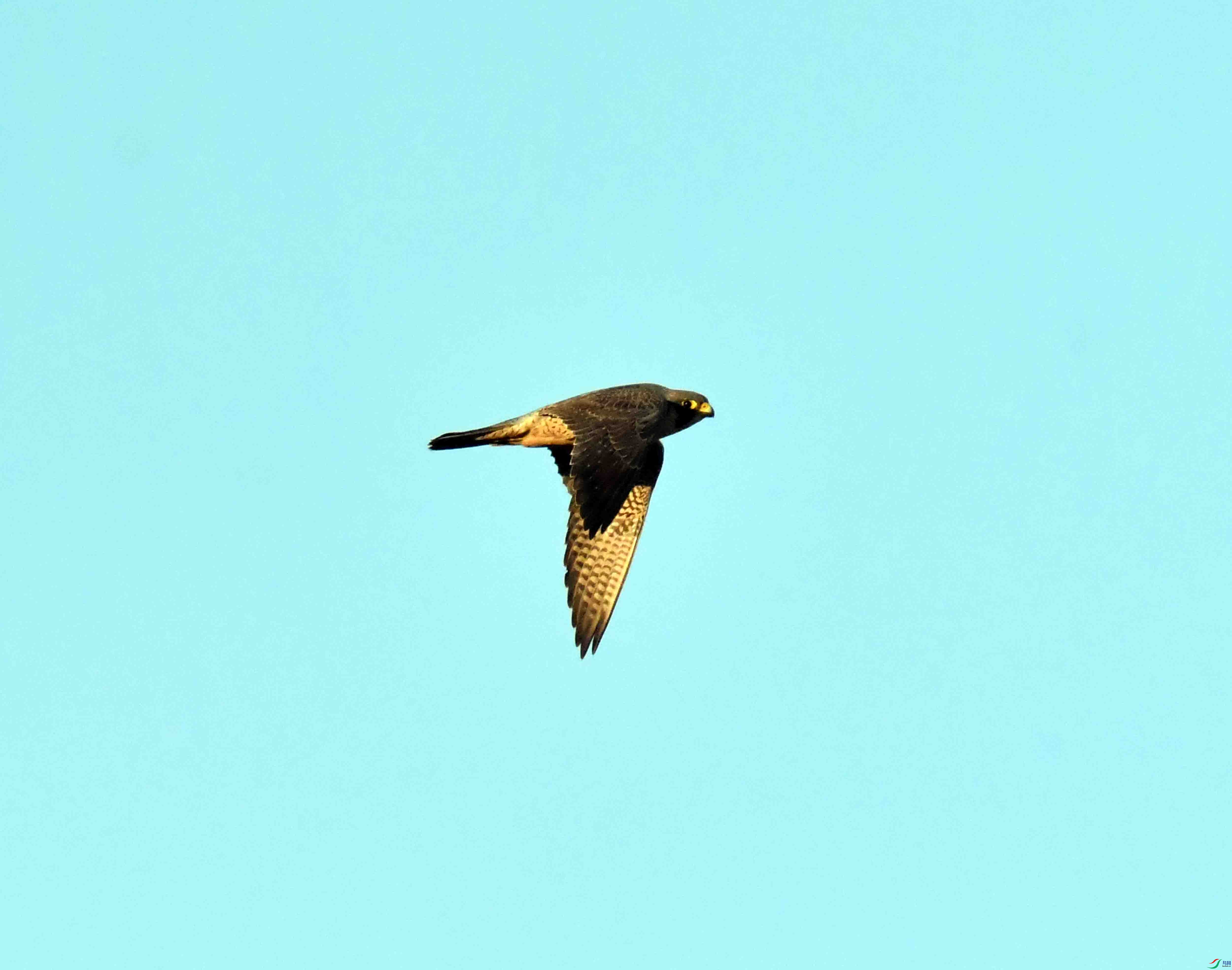 DSC_8956.JPG