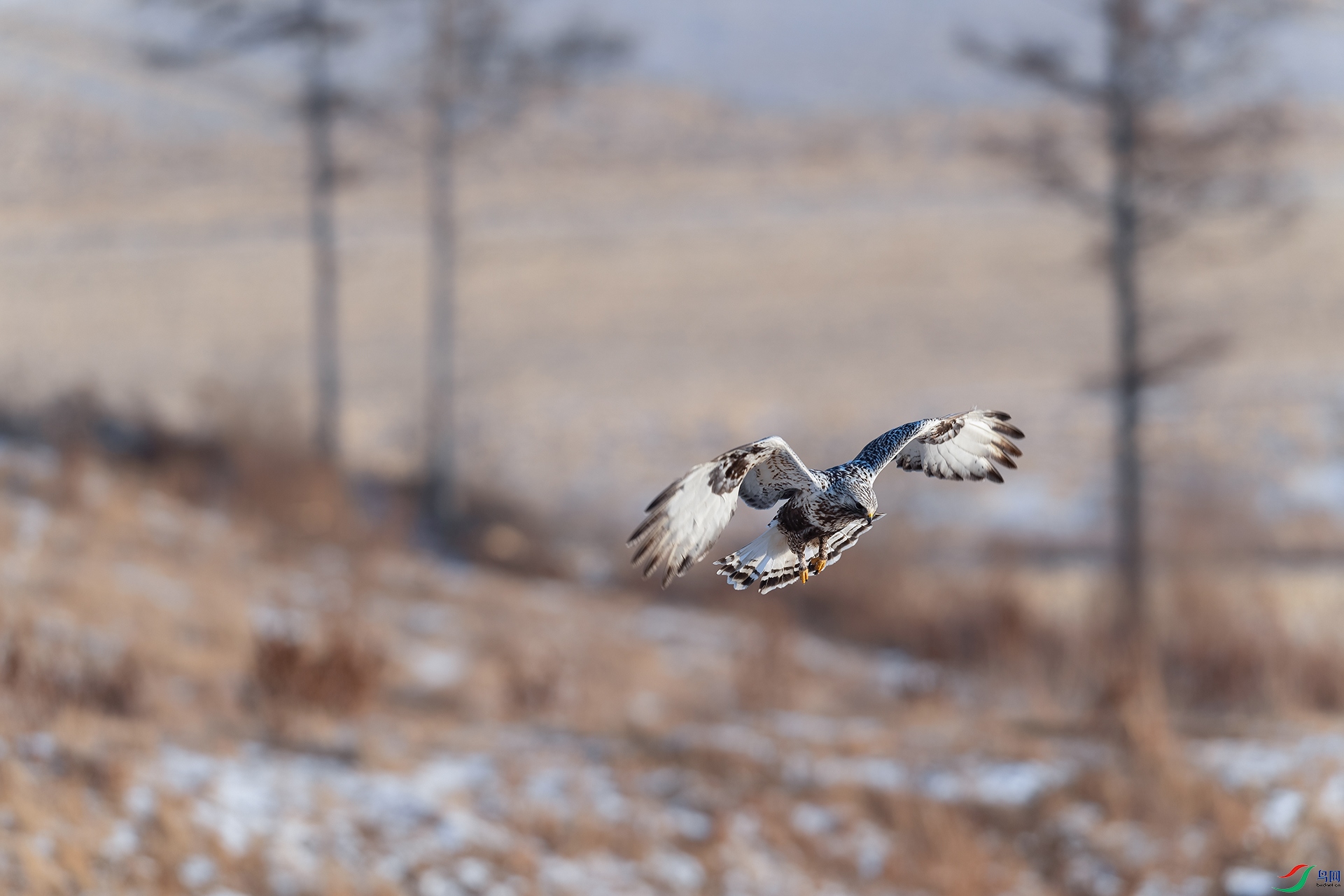 DSC_4570_DxOa.jpg
