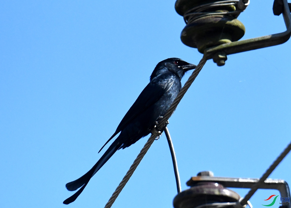 DSC_1668.jpg