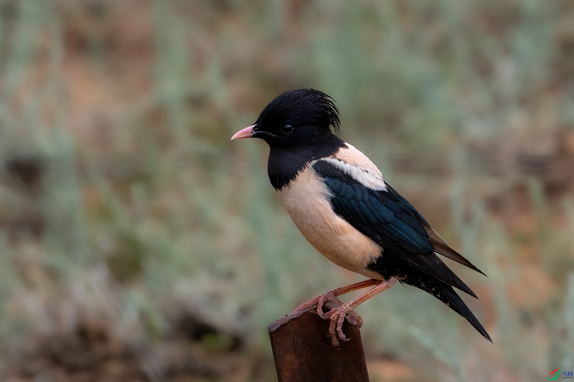 _DSC0624 ���� 2.jpg