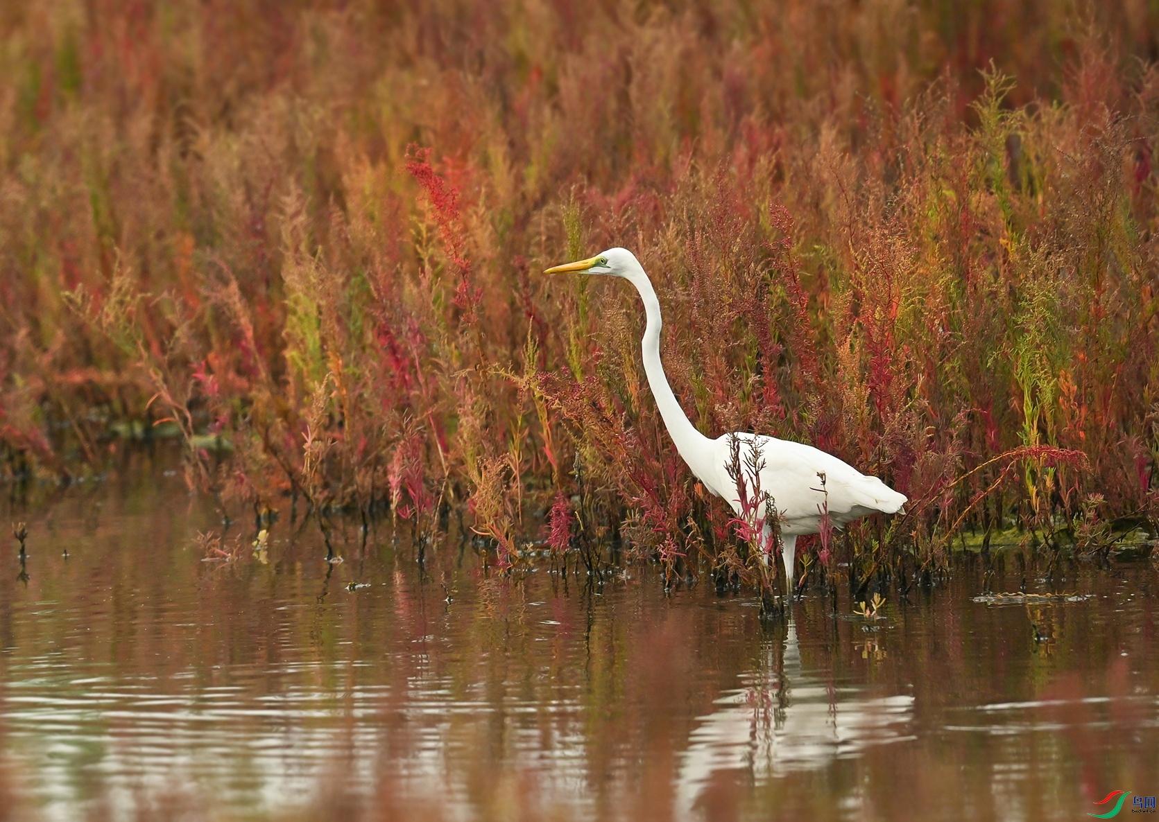DSC_2590f.jpg
