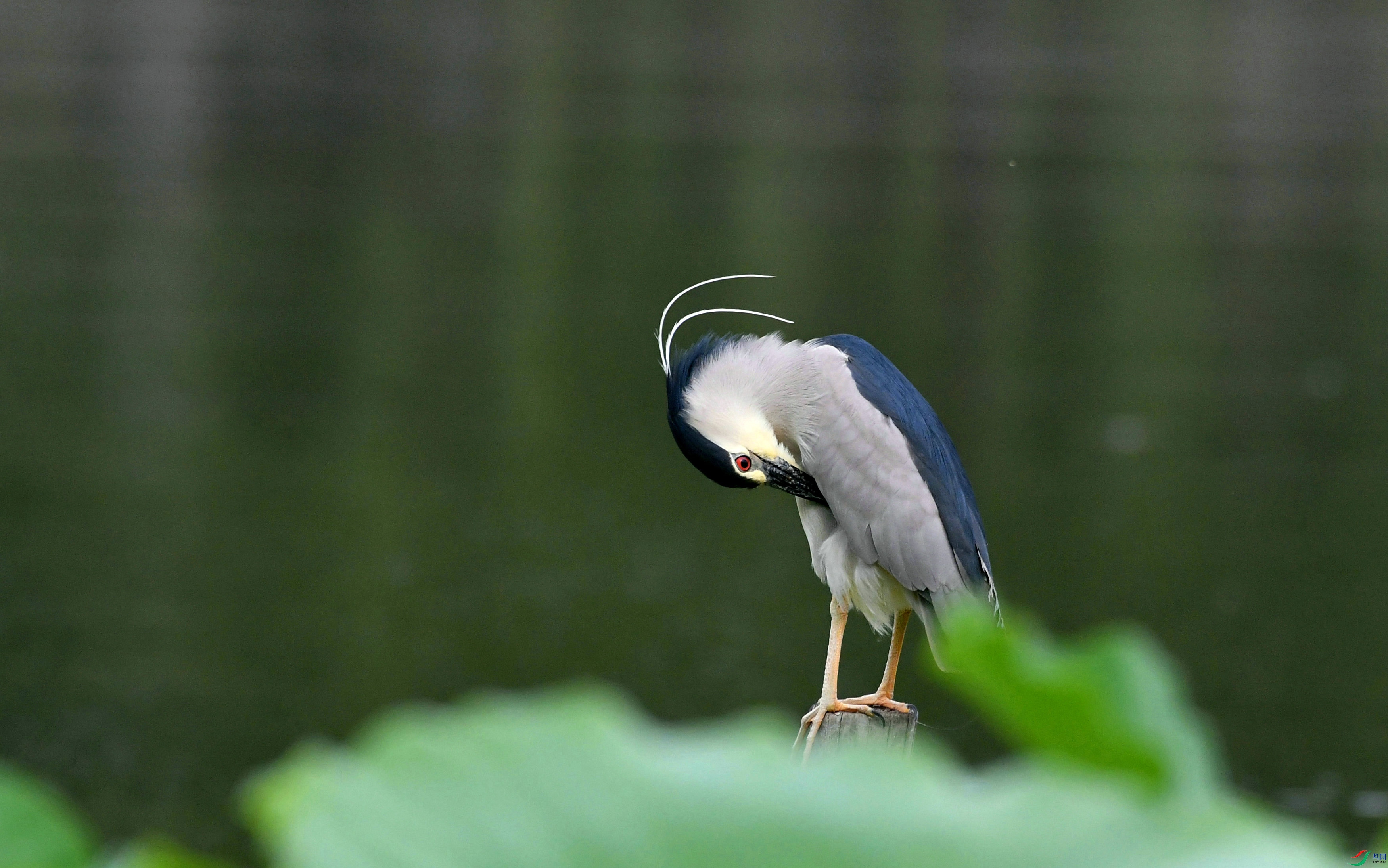 DSC_3035.JPG