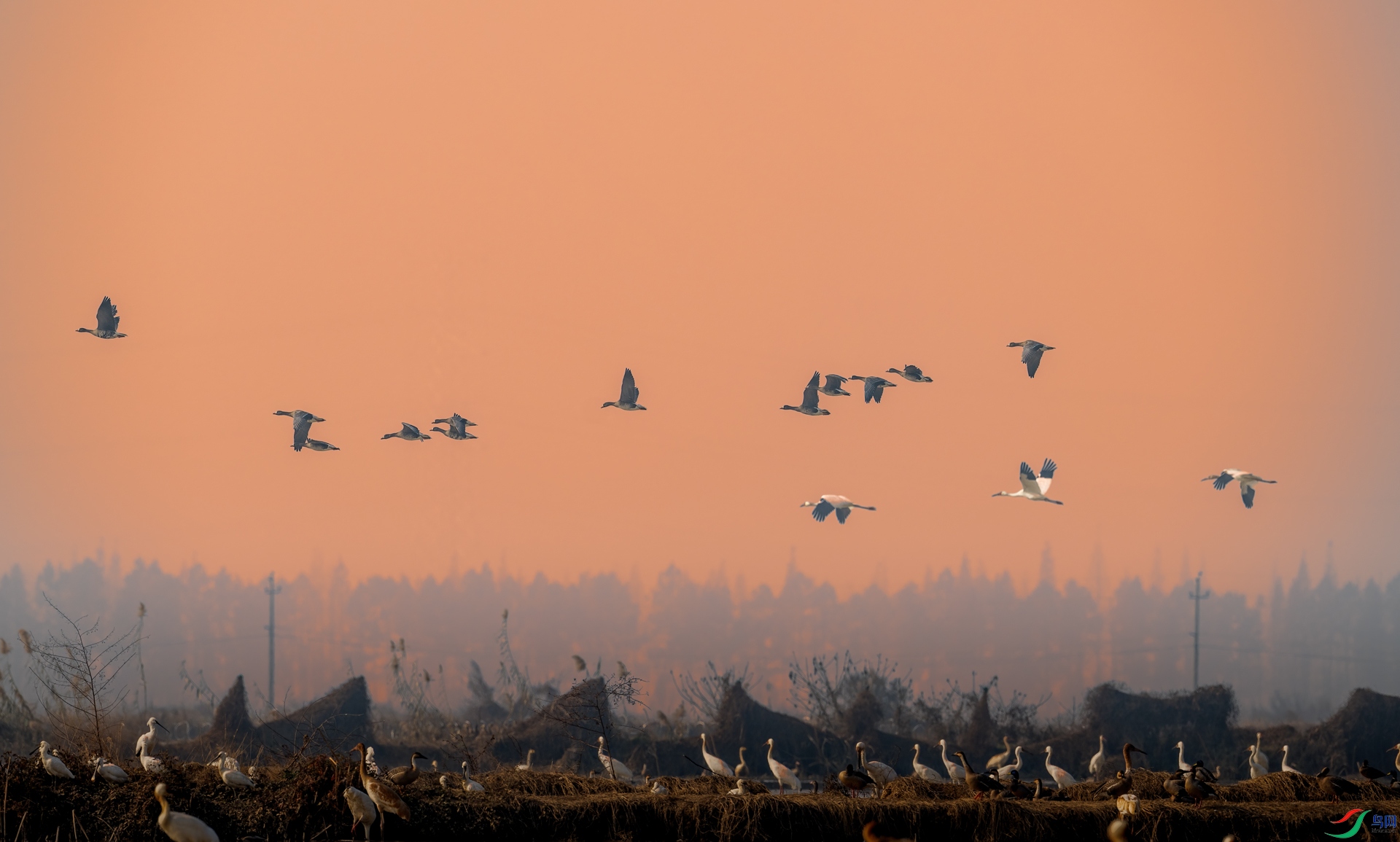DSC_0369-1.jpg