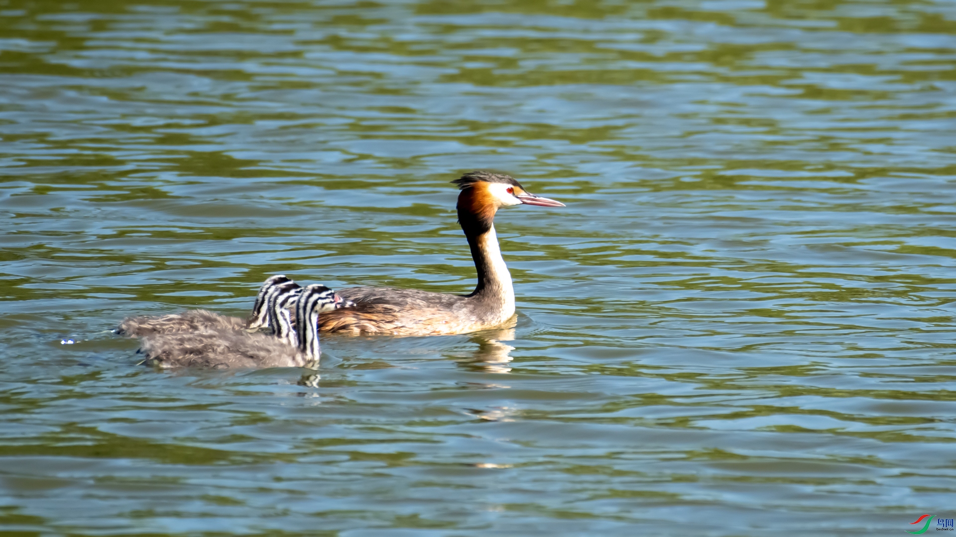 _DSC8540.jpg