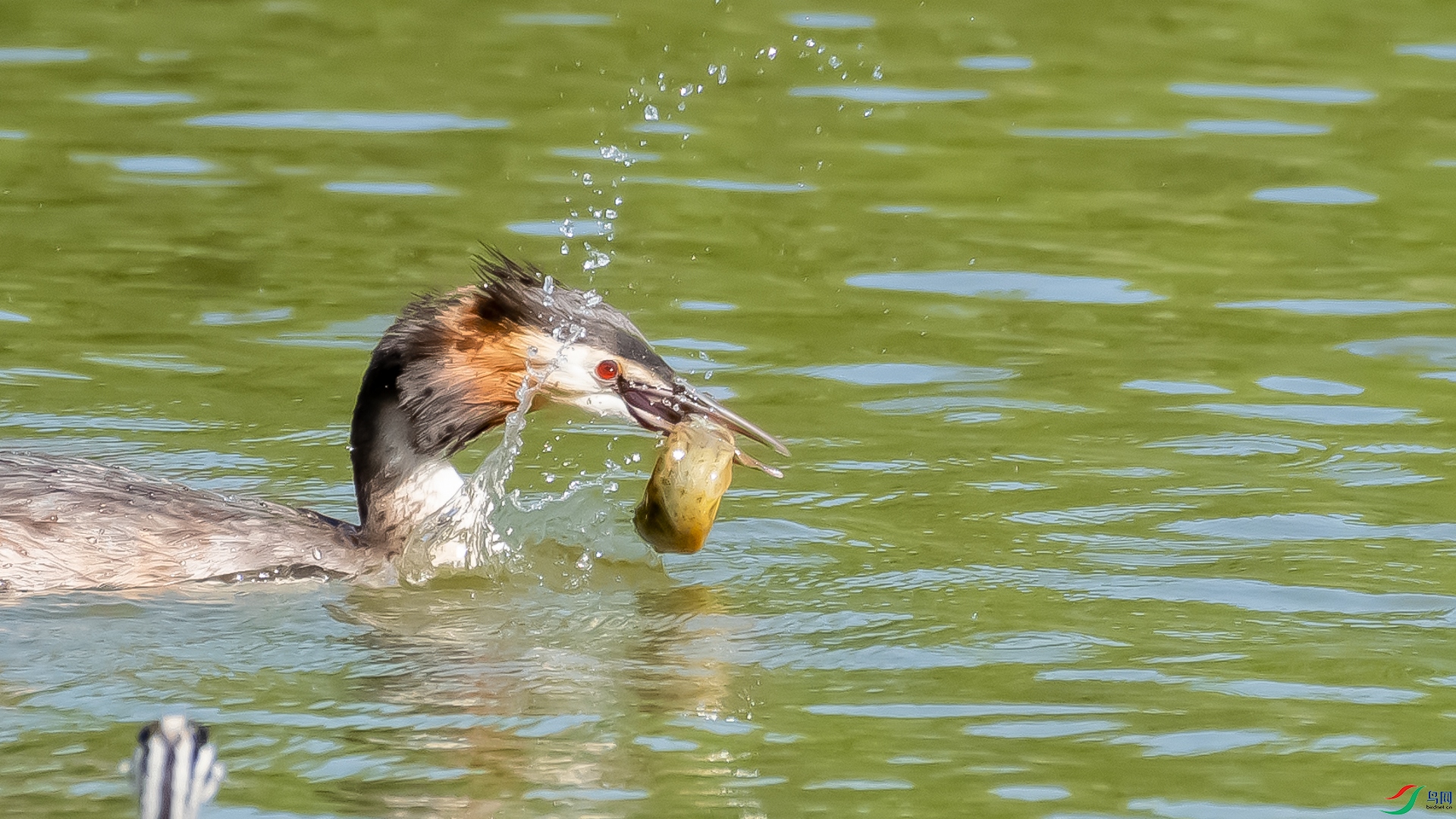 _DSC8563.jpg