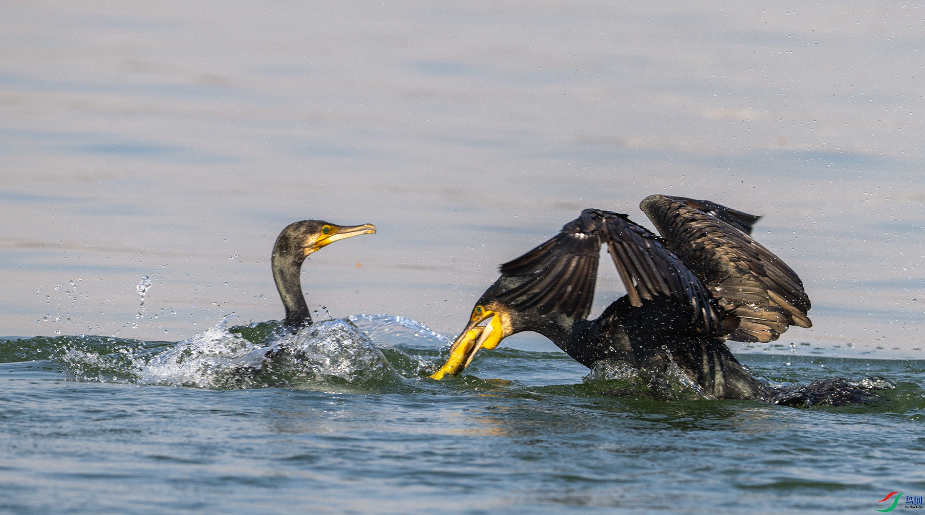 1904 ����.jpg