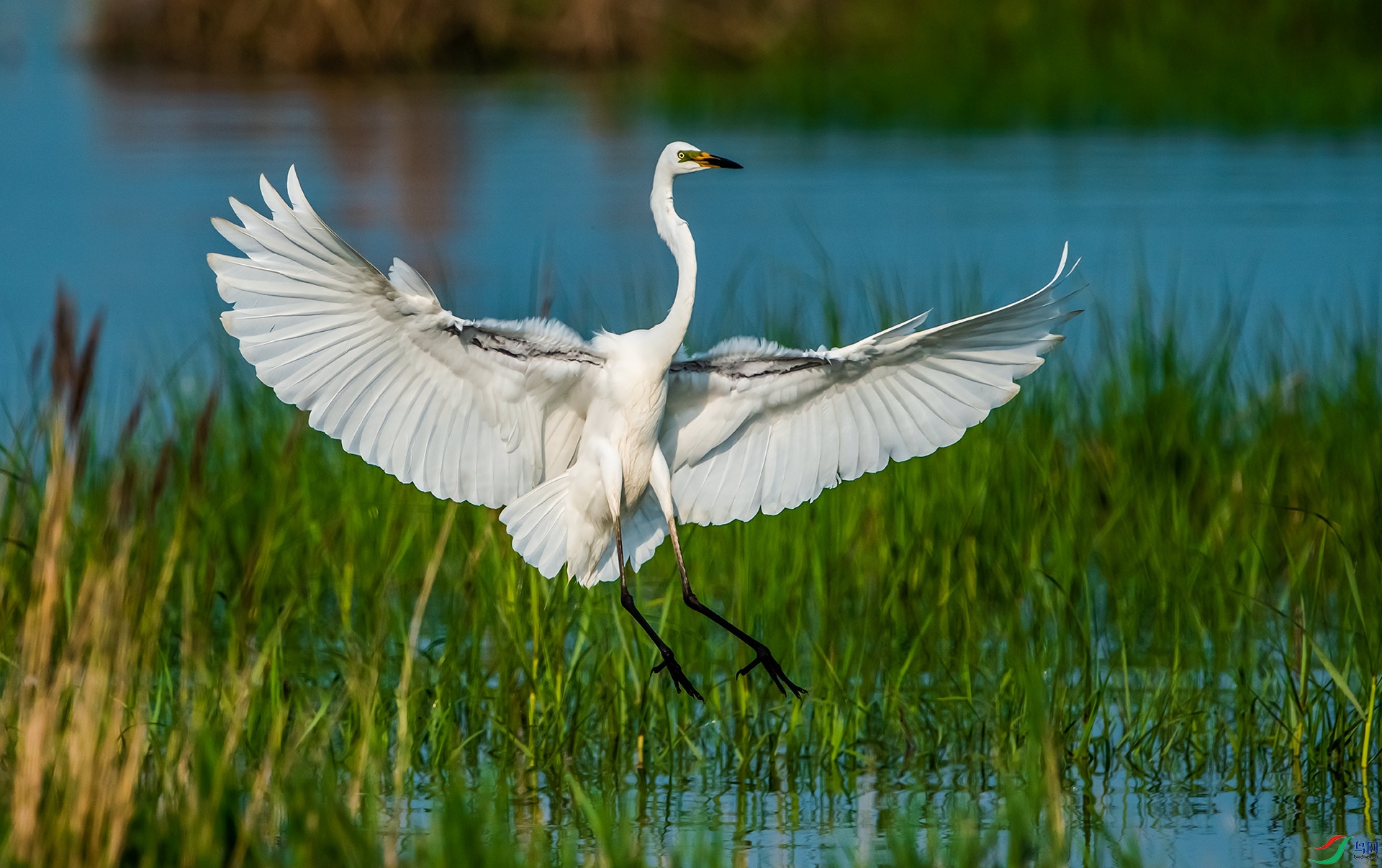 DSC_6261.jpg