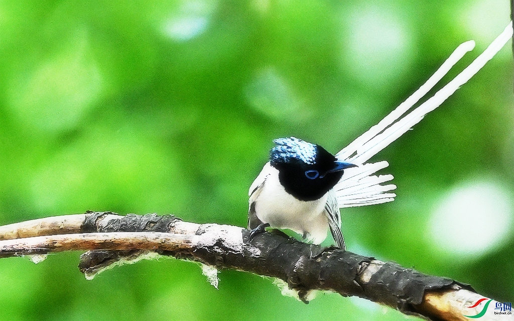 DSC_6126.JPG