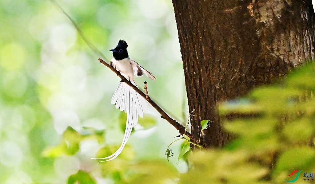 DSC_9259.JPG