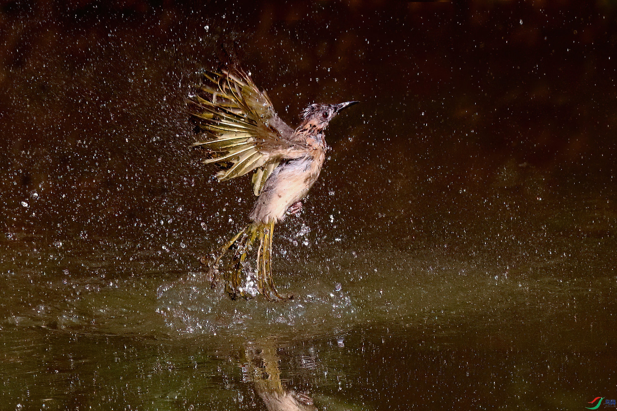 ϴ����ˮ��