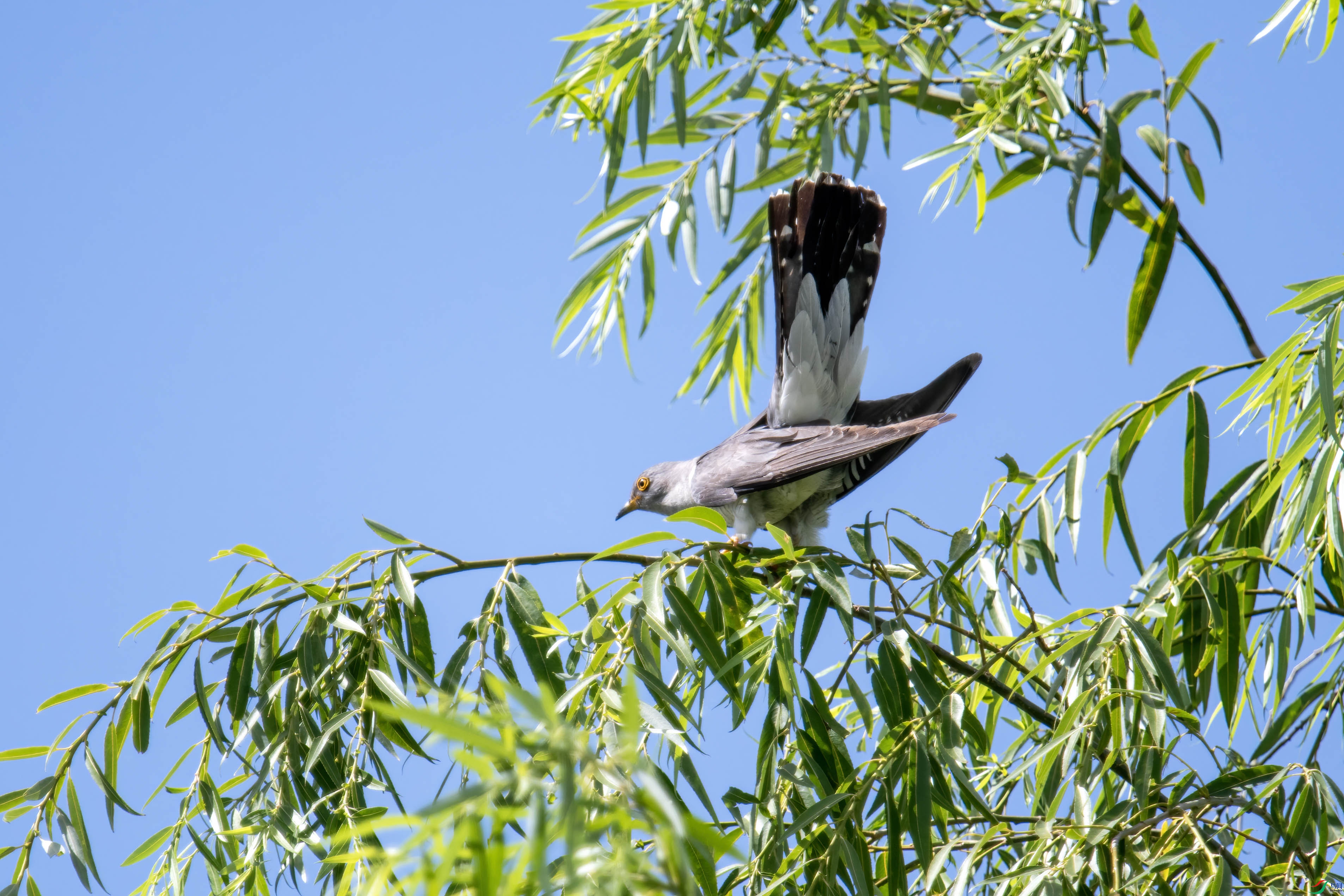 _DSC7459 ���� 2.jpg