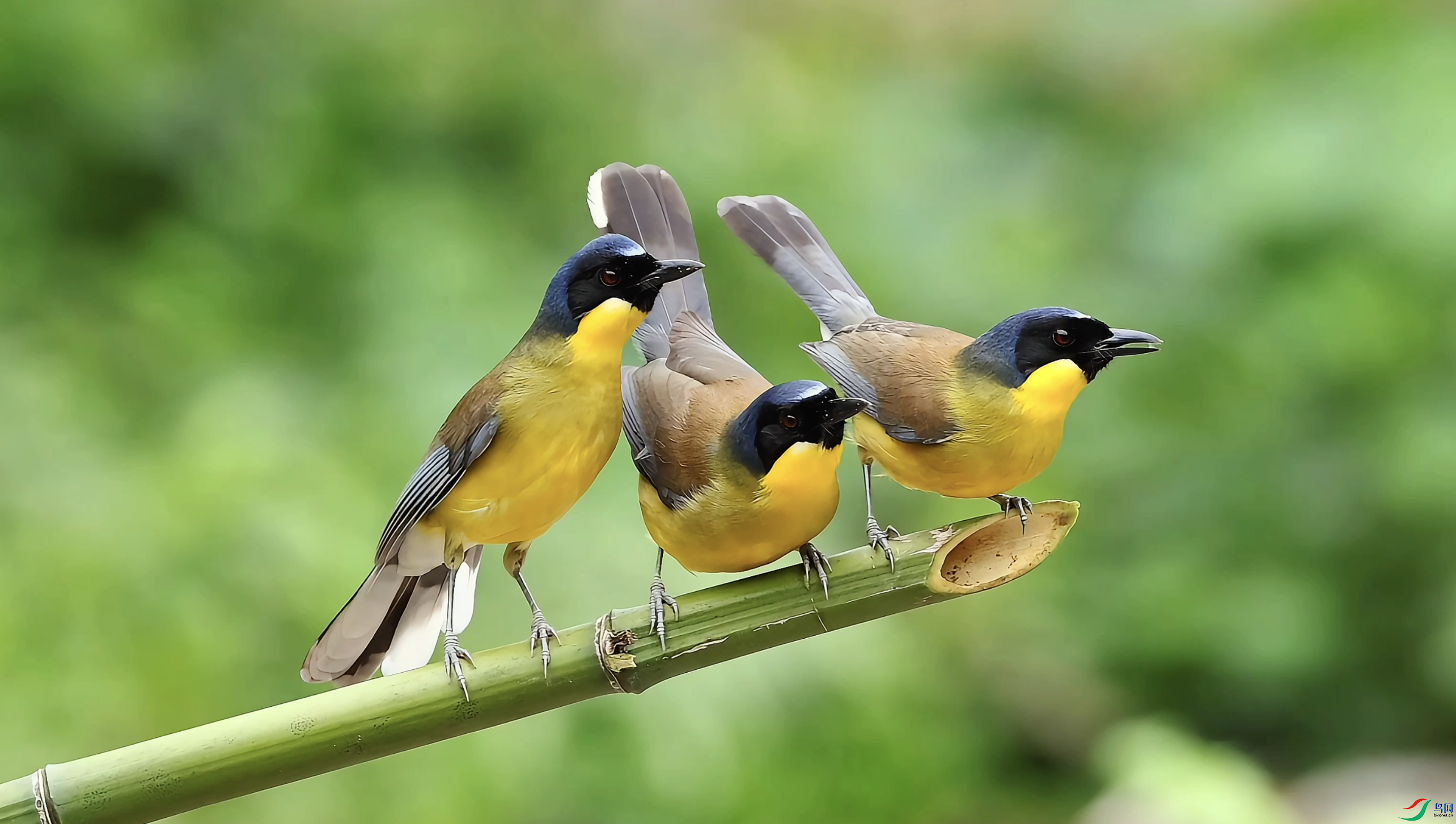 ����2024-06-25 22.17.09.png