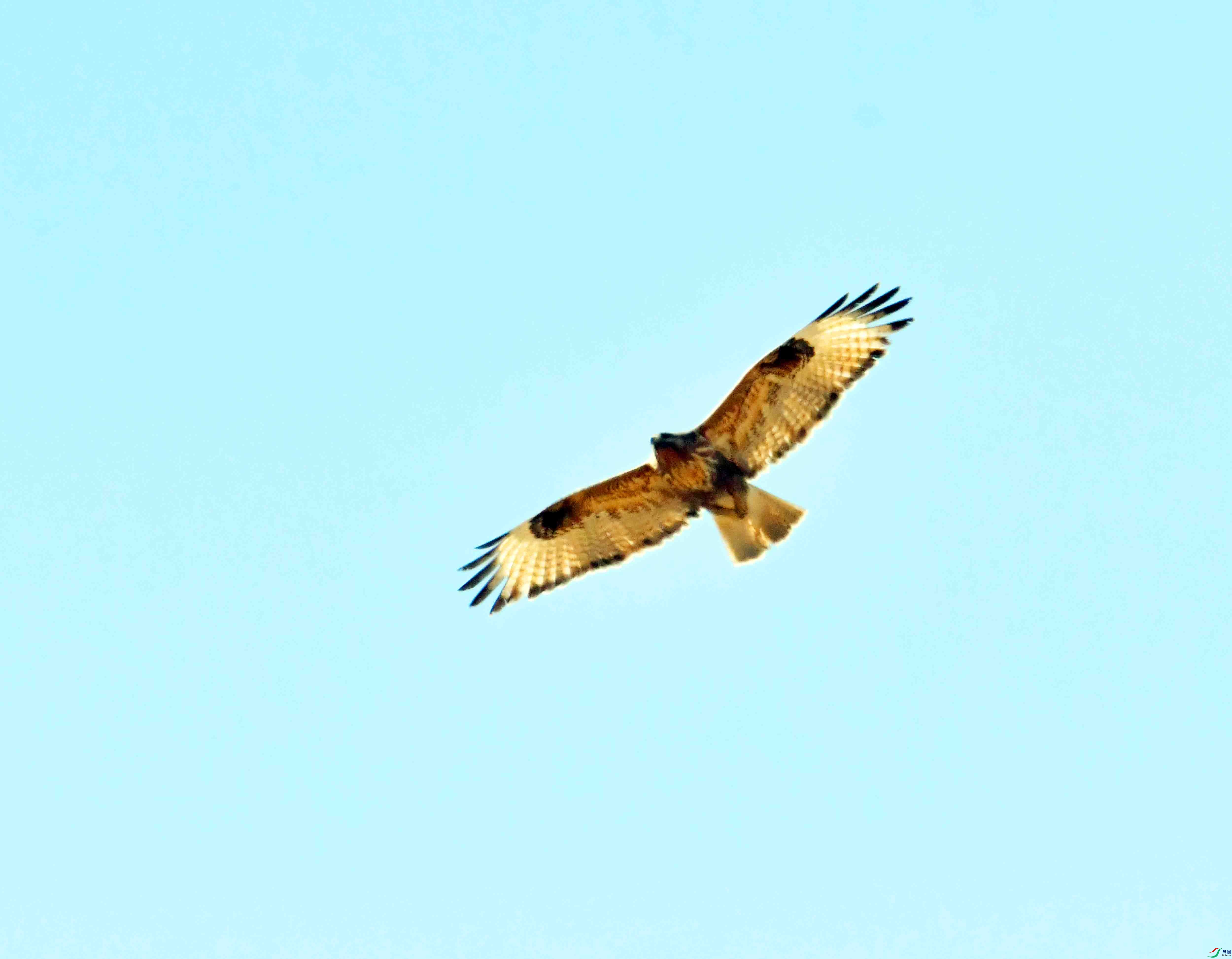DSC_1297.JPG