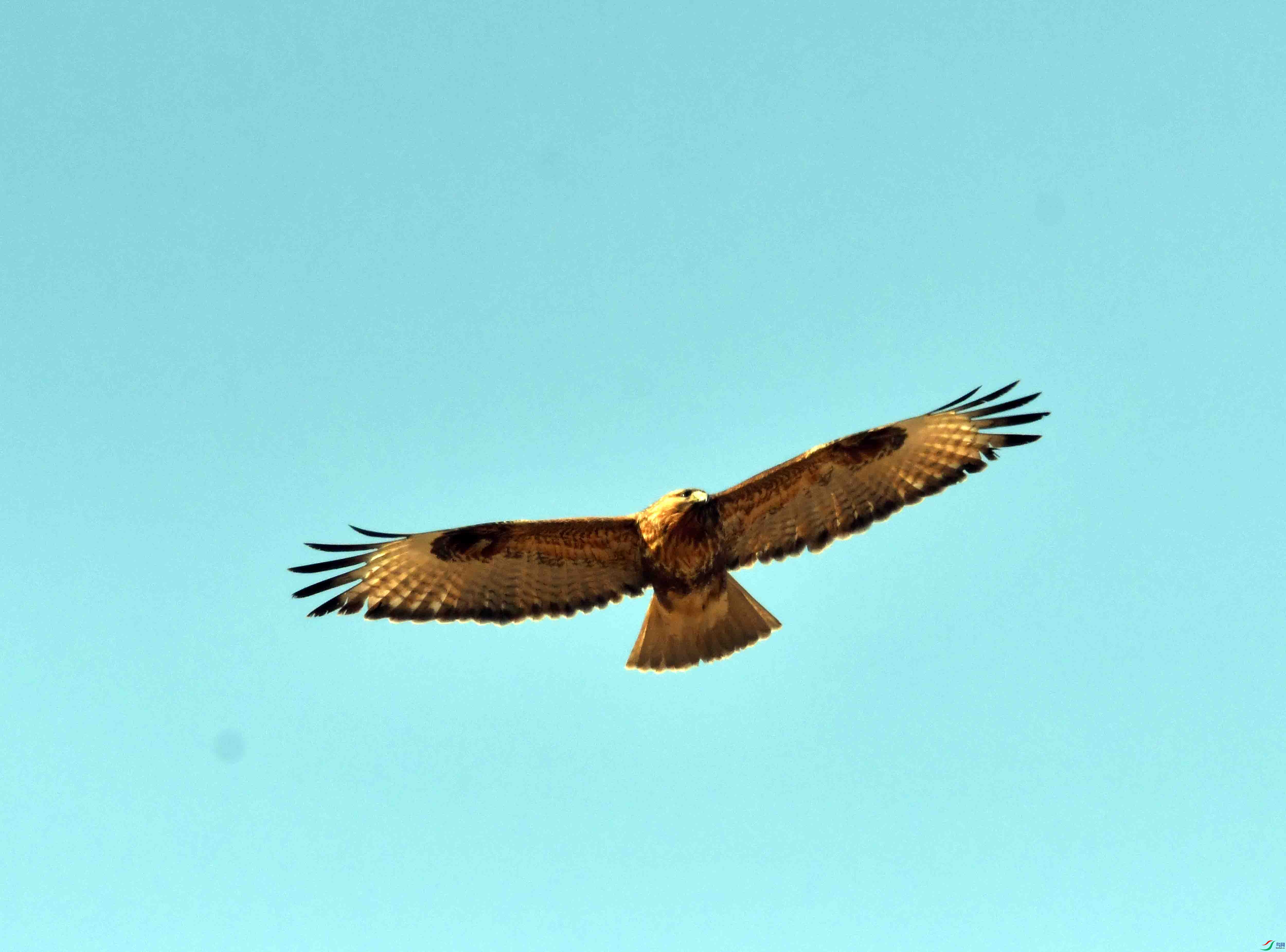 DSC_3125.JPG