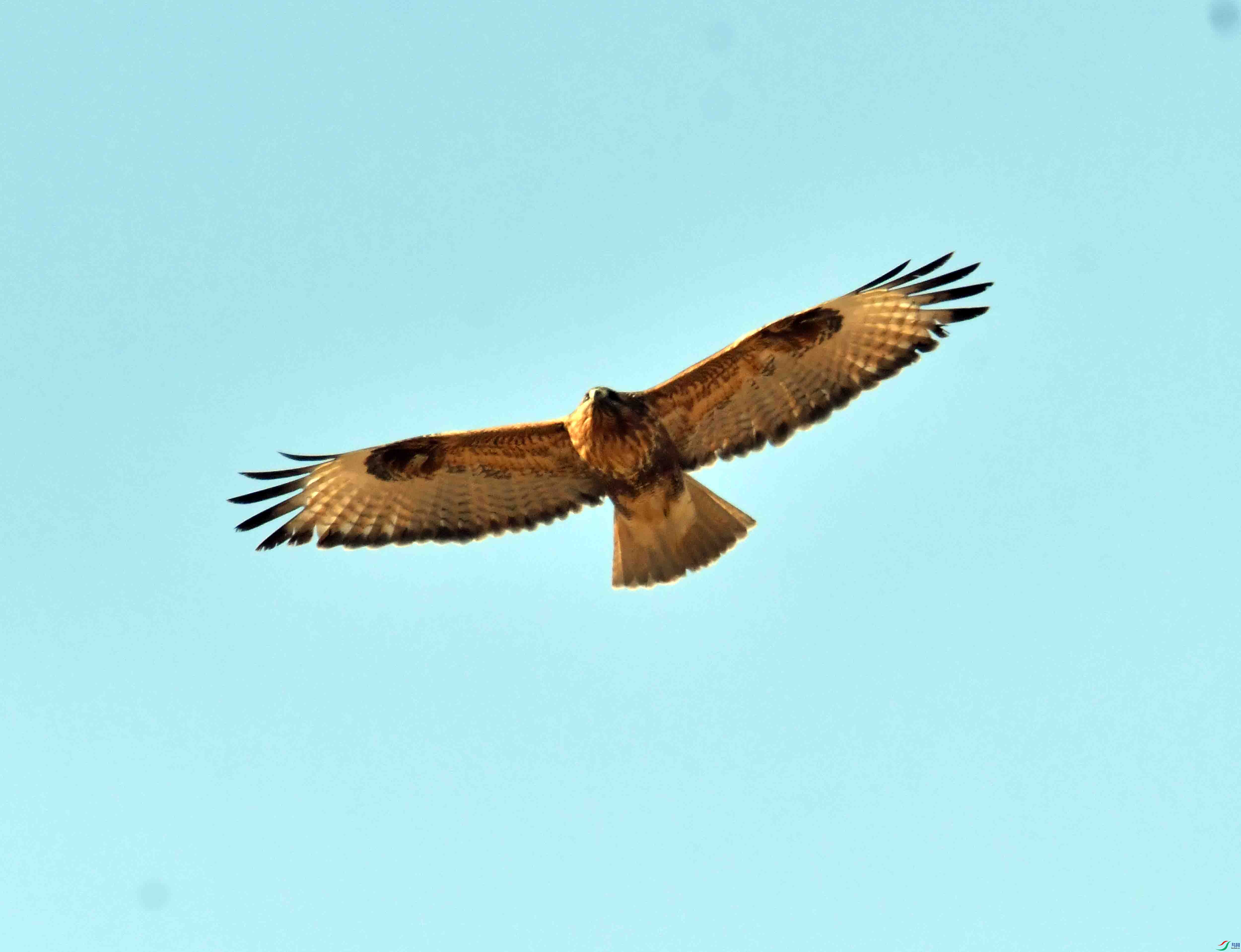DSC_3128.JPG