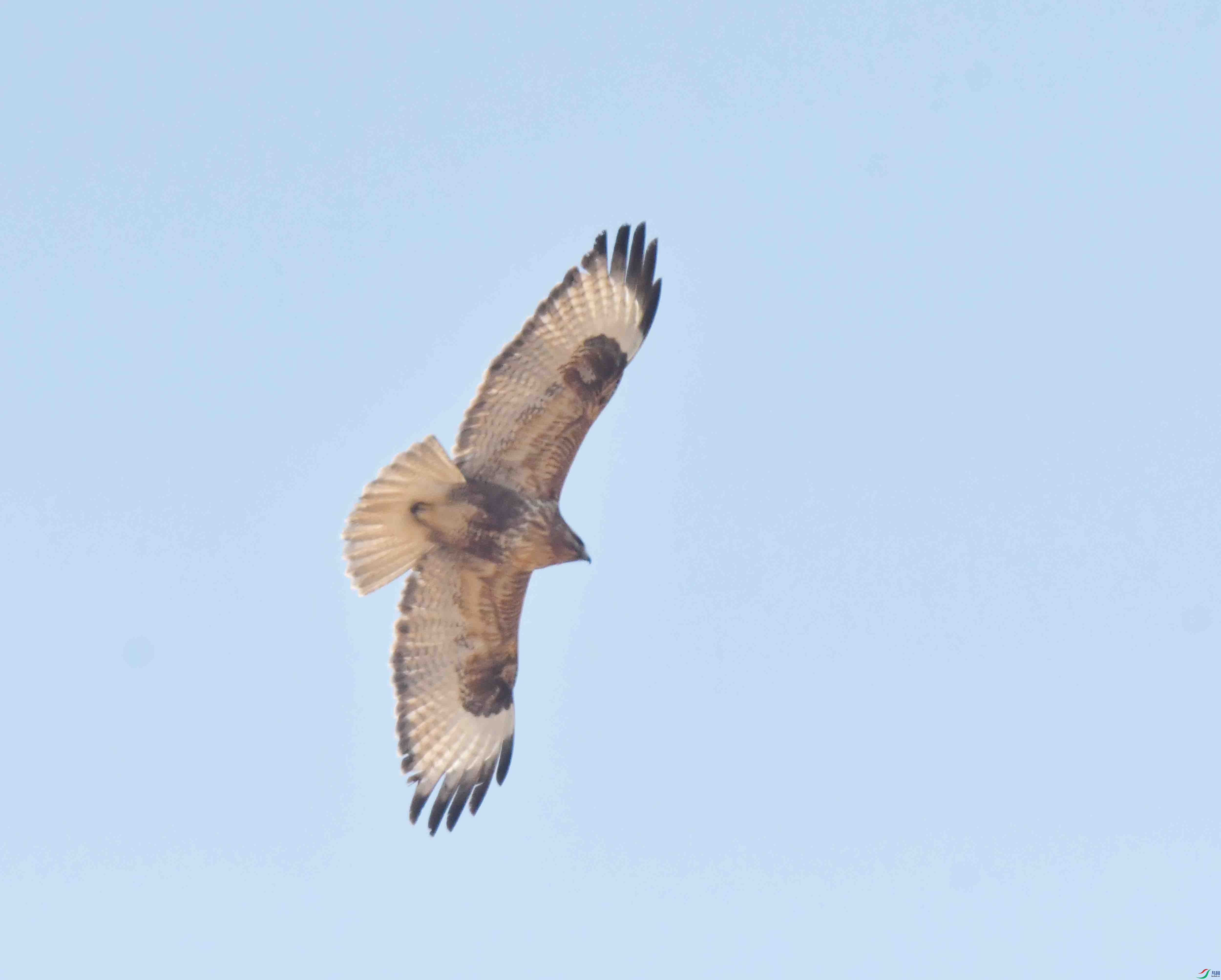 DSC_3148.JPG