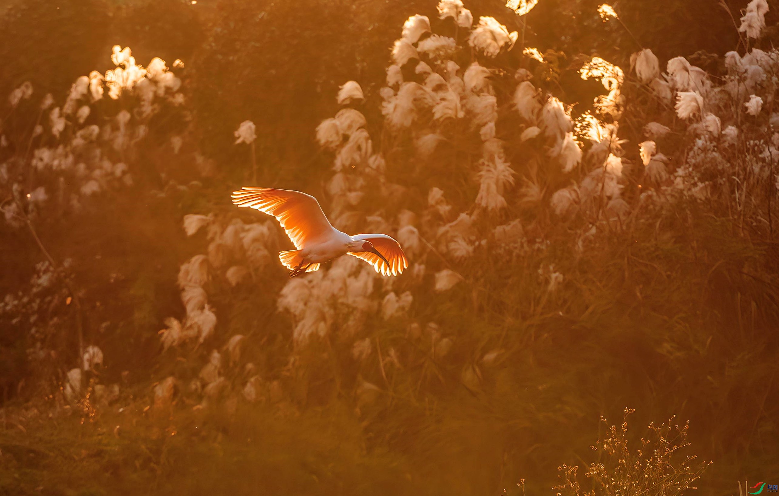 DSC_2268 ����.jpg