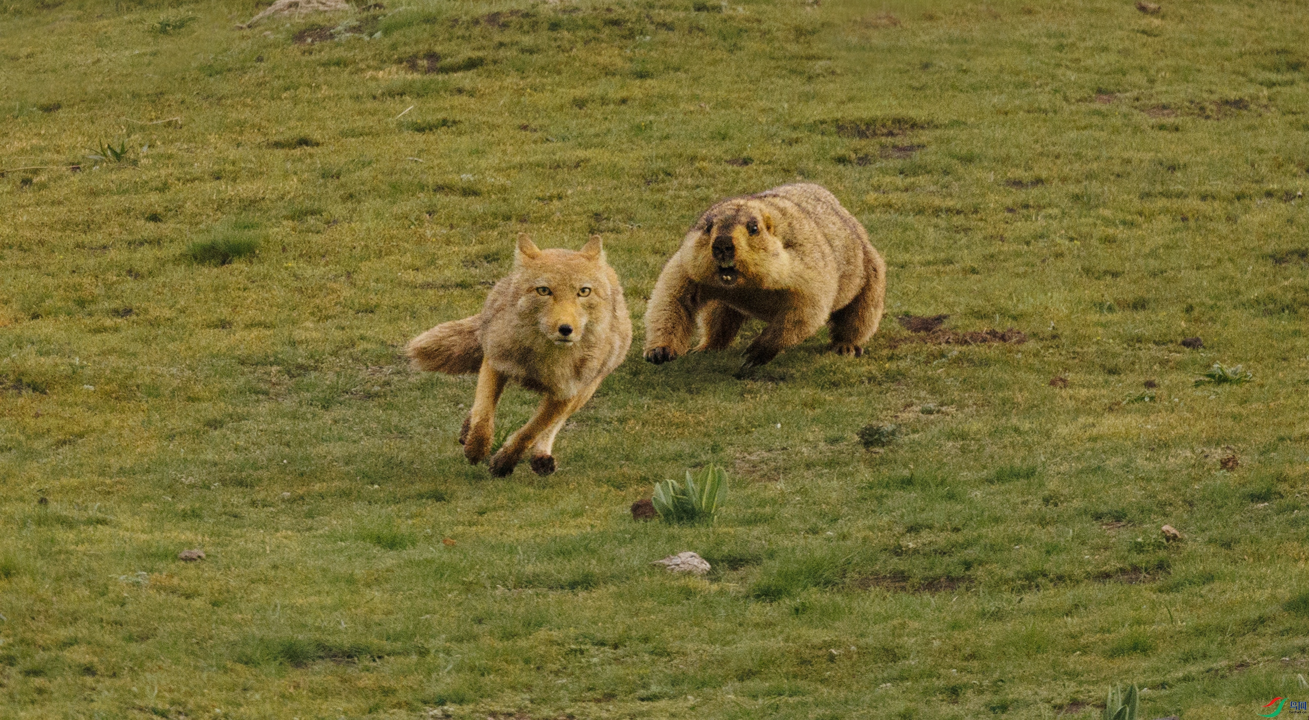 7X5A7030 ����.jpg