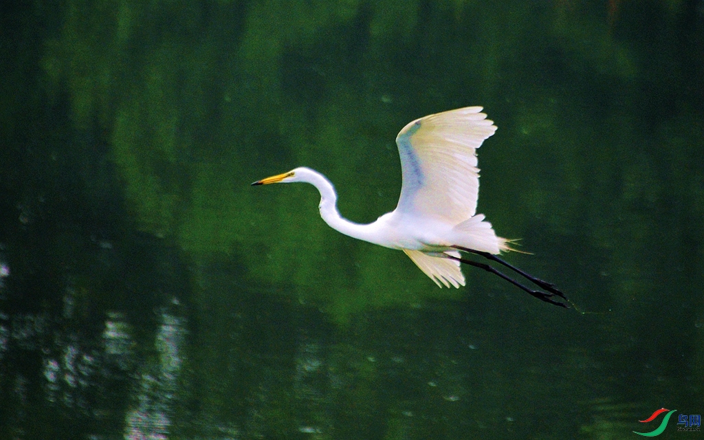 707 (25)_����.jpg