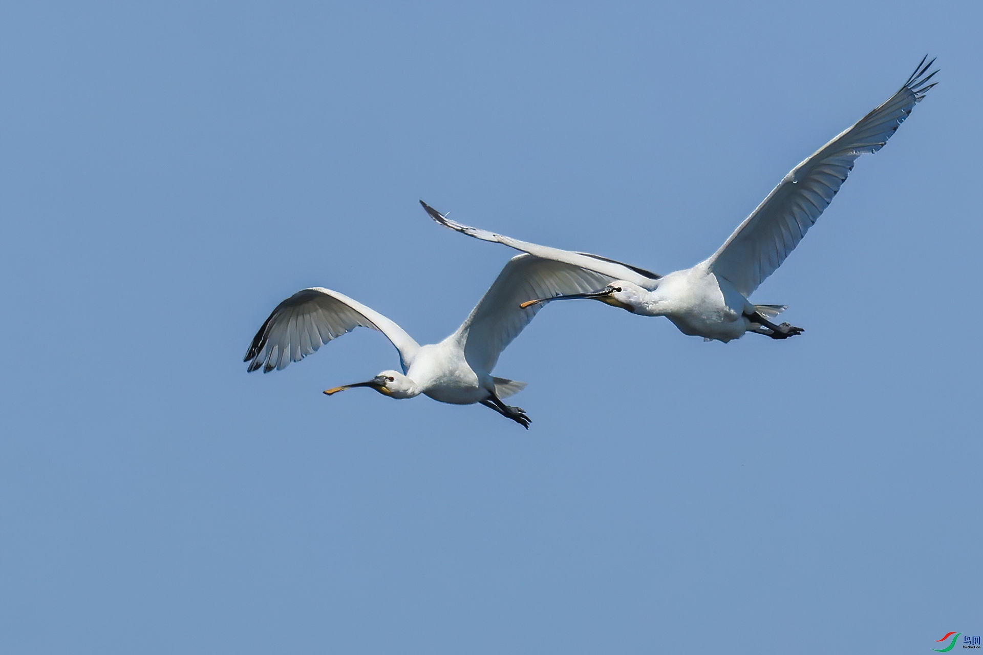 ������8A9079-----333.jpg