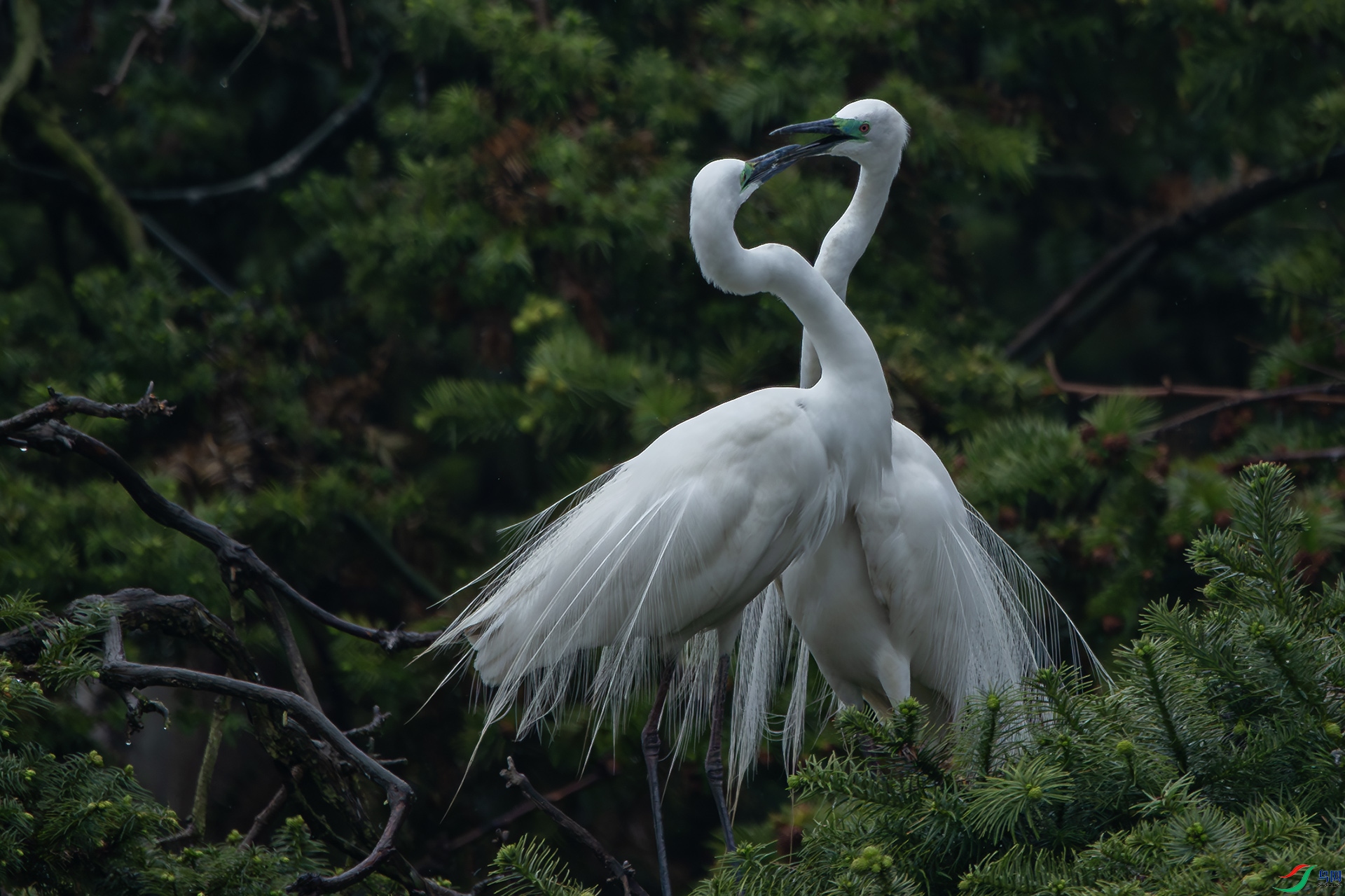 ���ļ���