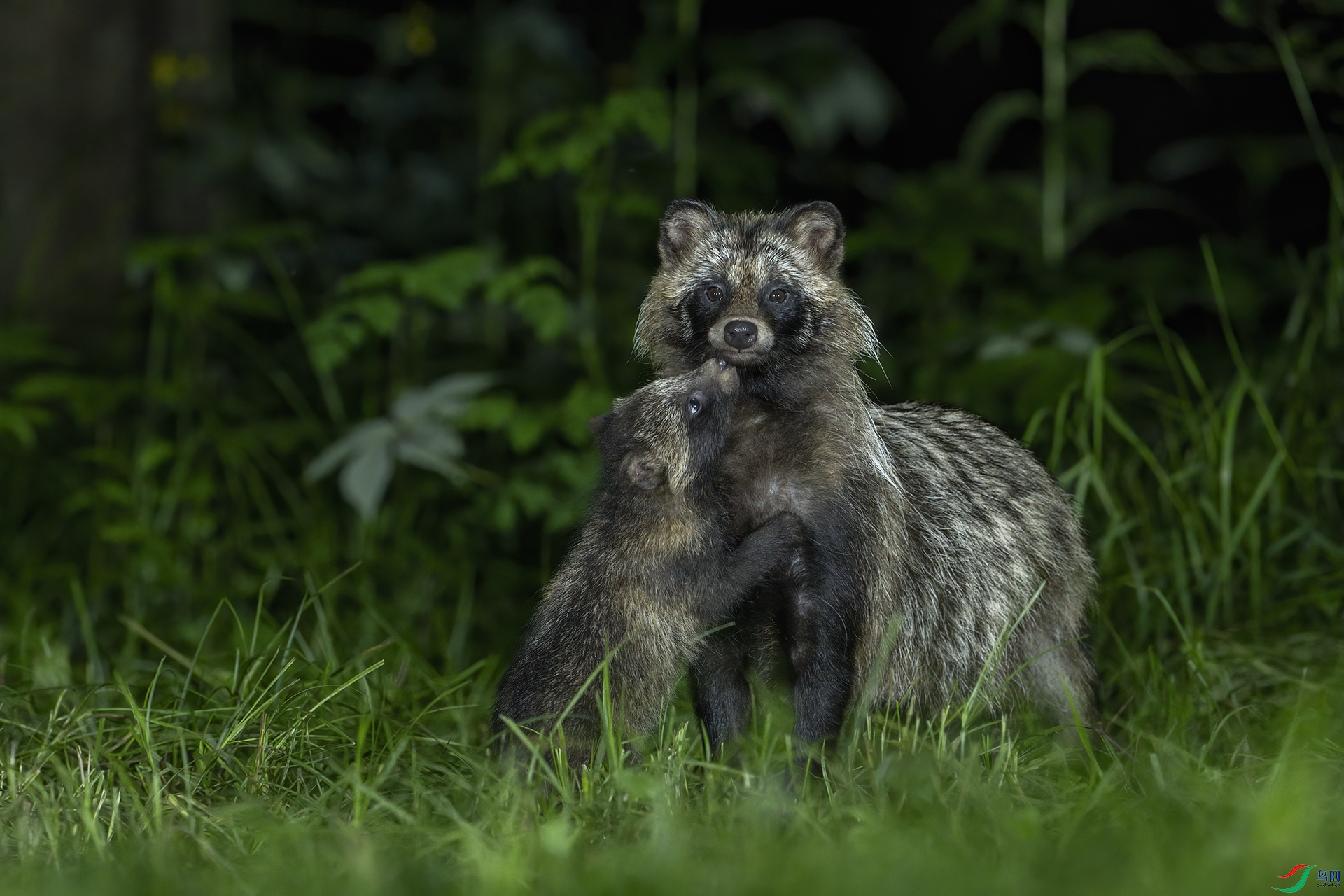 _DSC3789 ���� 1920.jpg