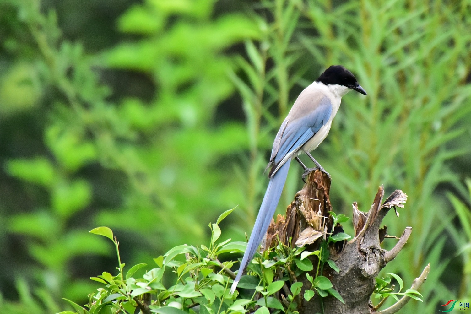 DSC_4904.JPG