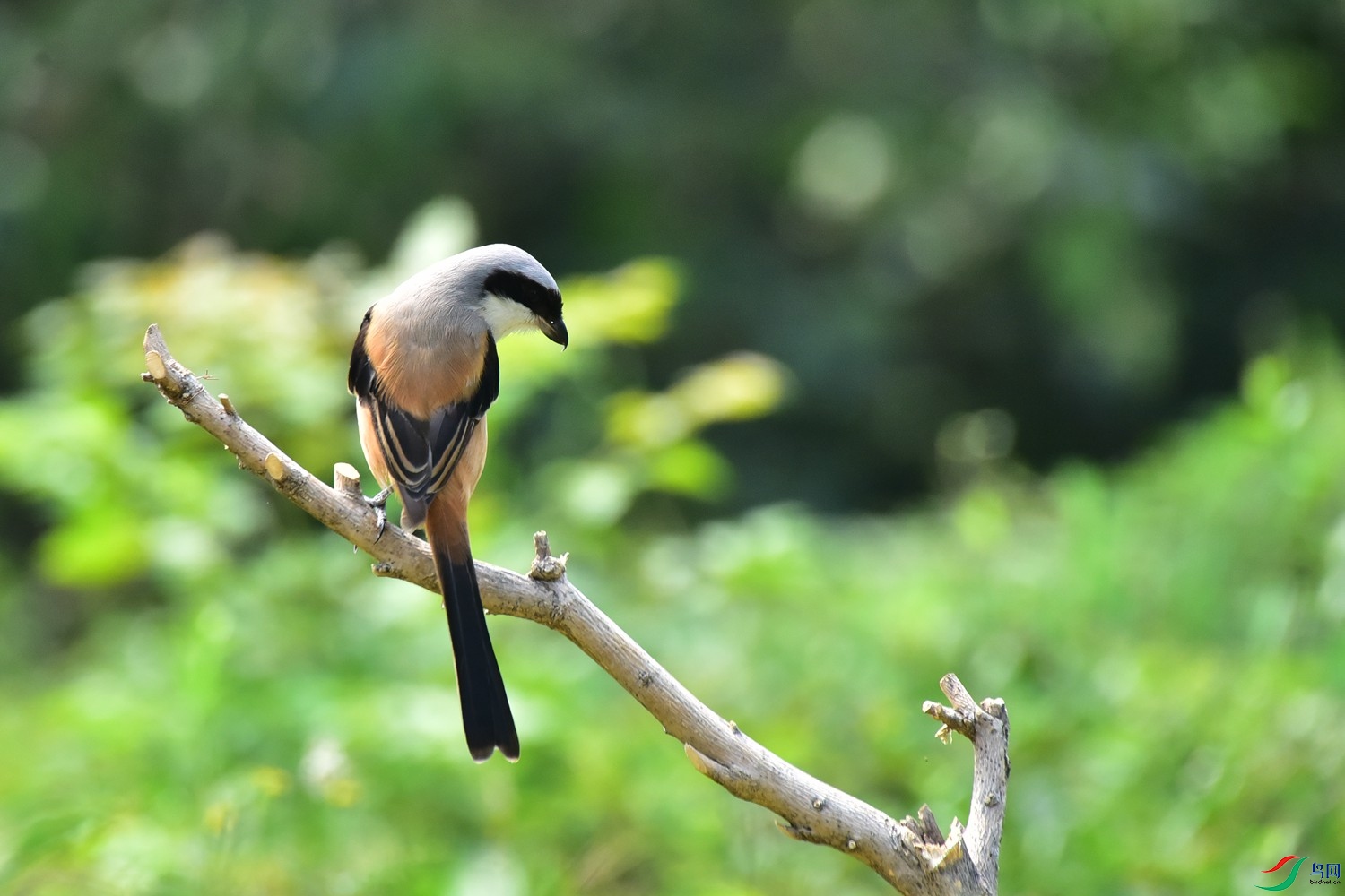 DSC_1607.JPG