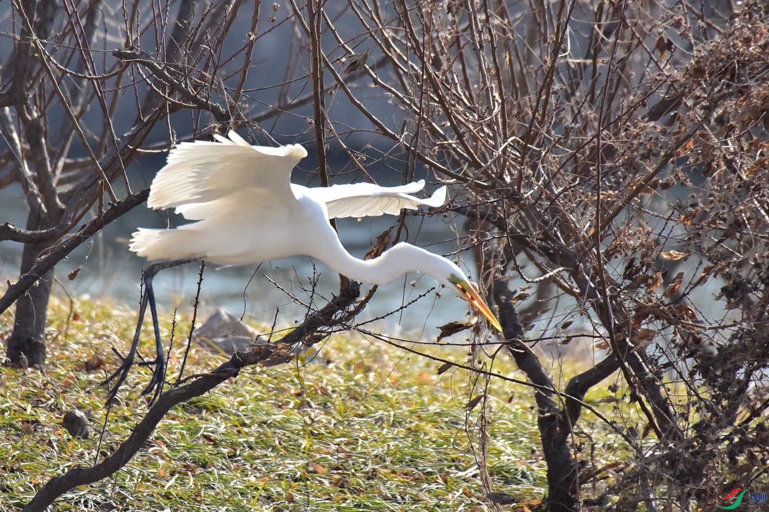 DSC_5860.JPG