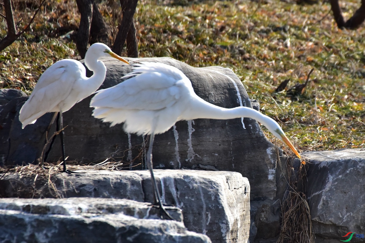 DSC_5961.JPG