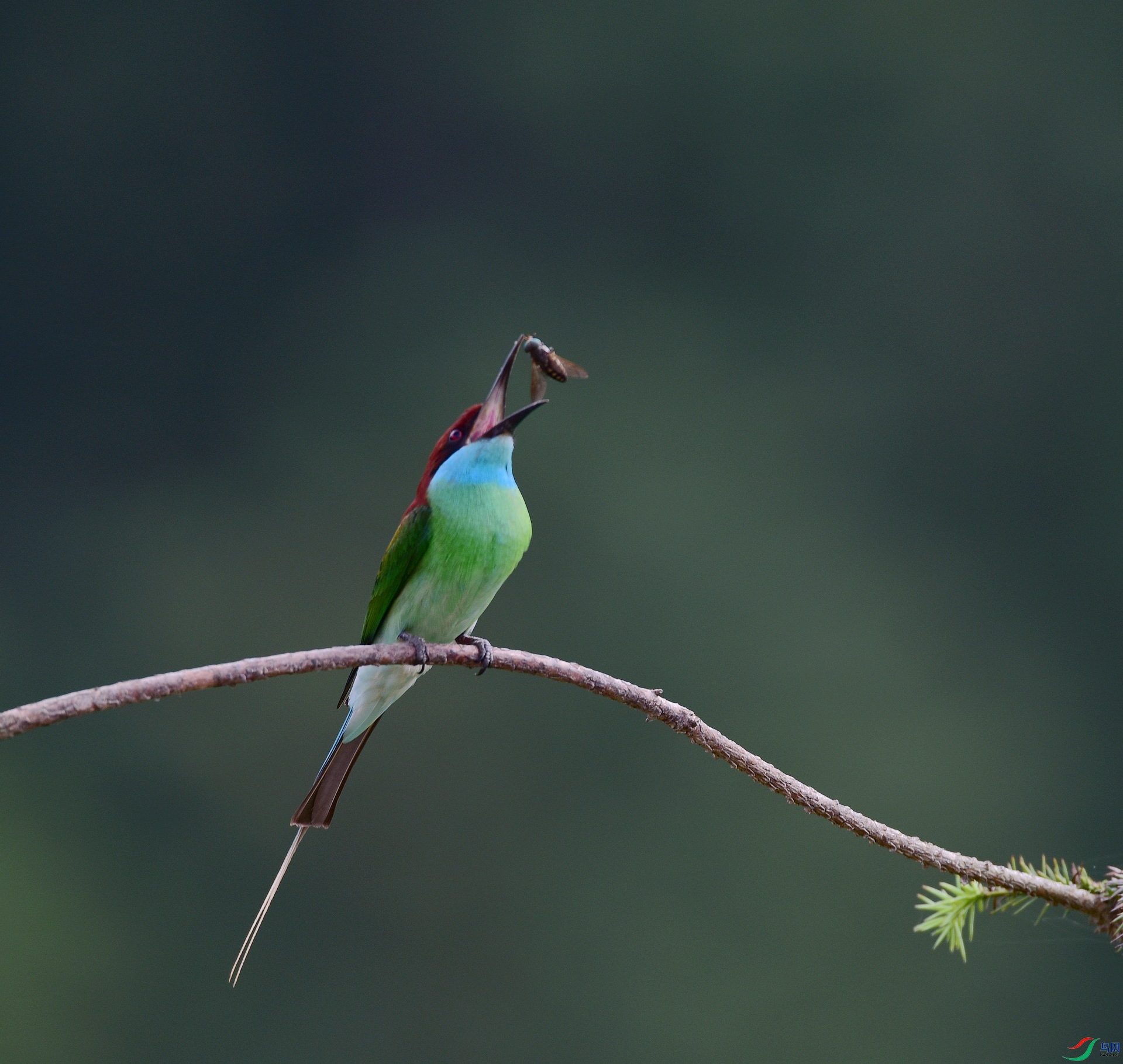 D8I_3460.jpg