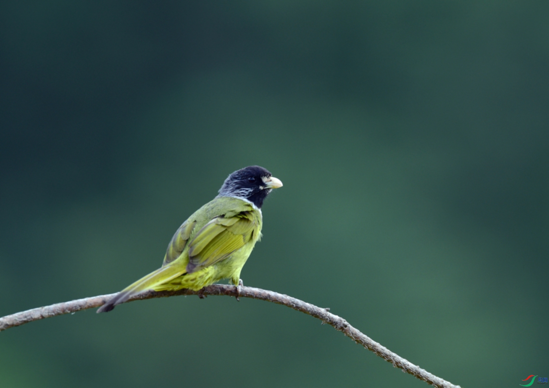 D8I_3439.jpg