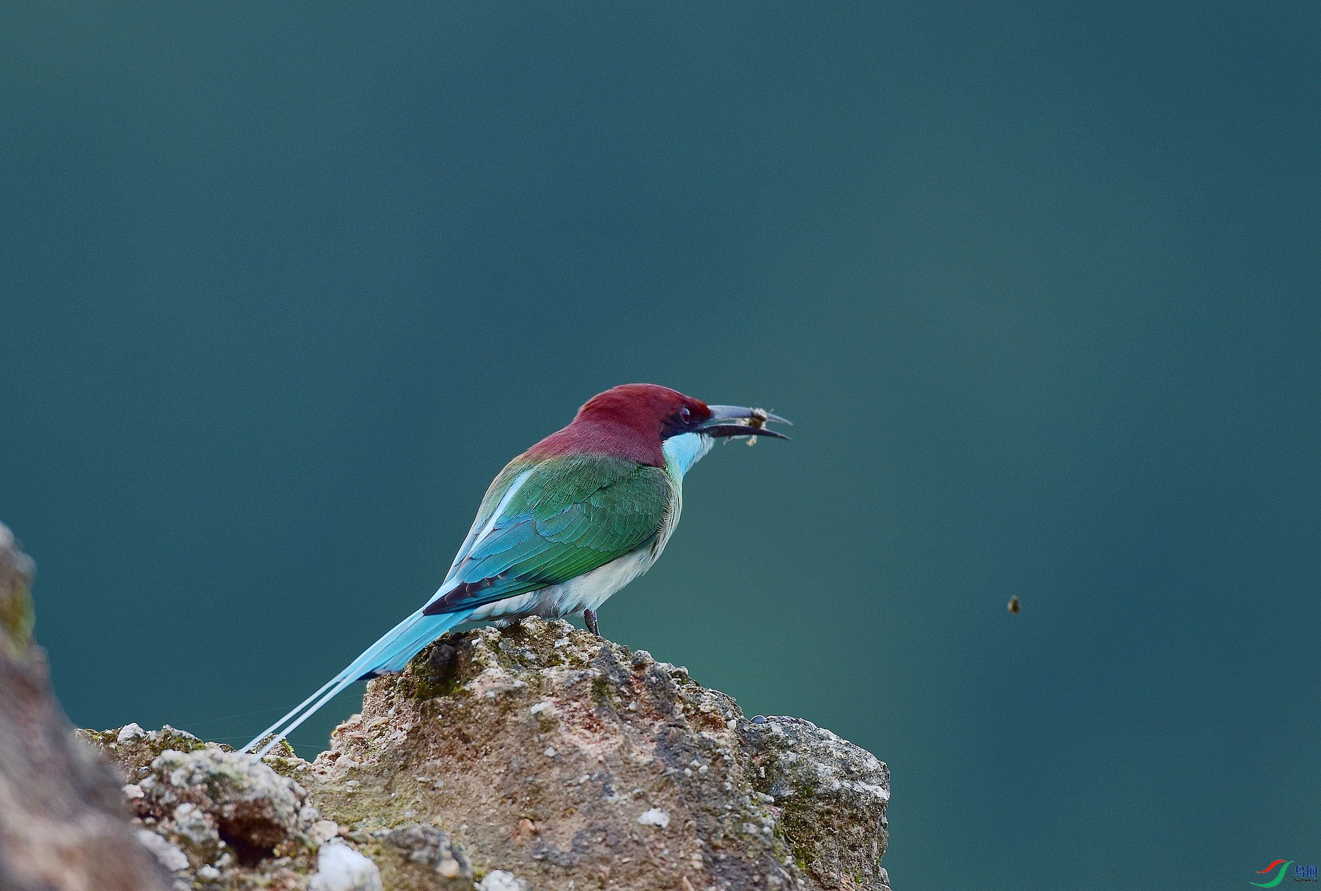 D8I_0267.jpg