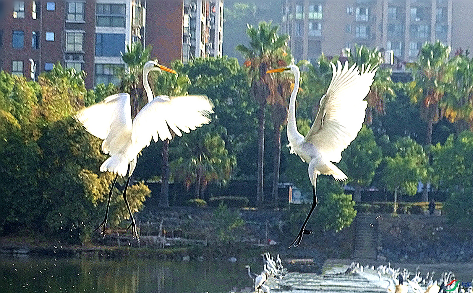 DSC03568_����.jpg