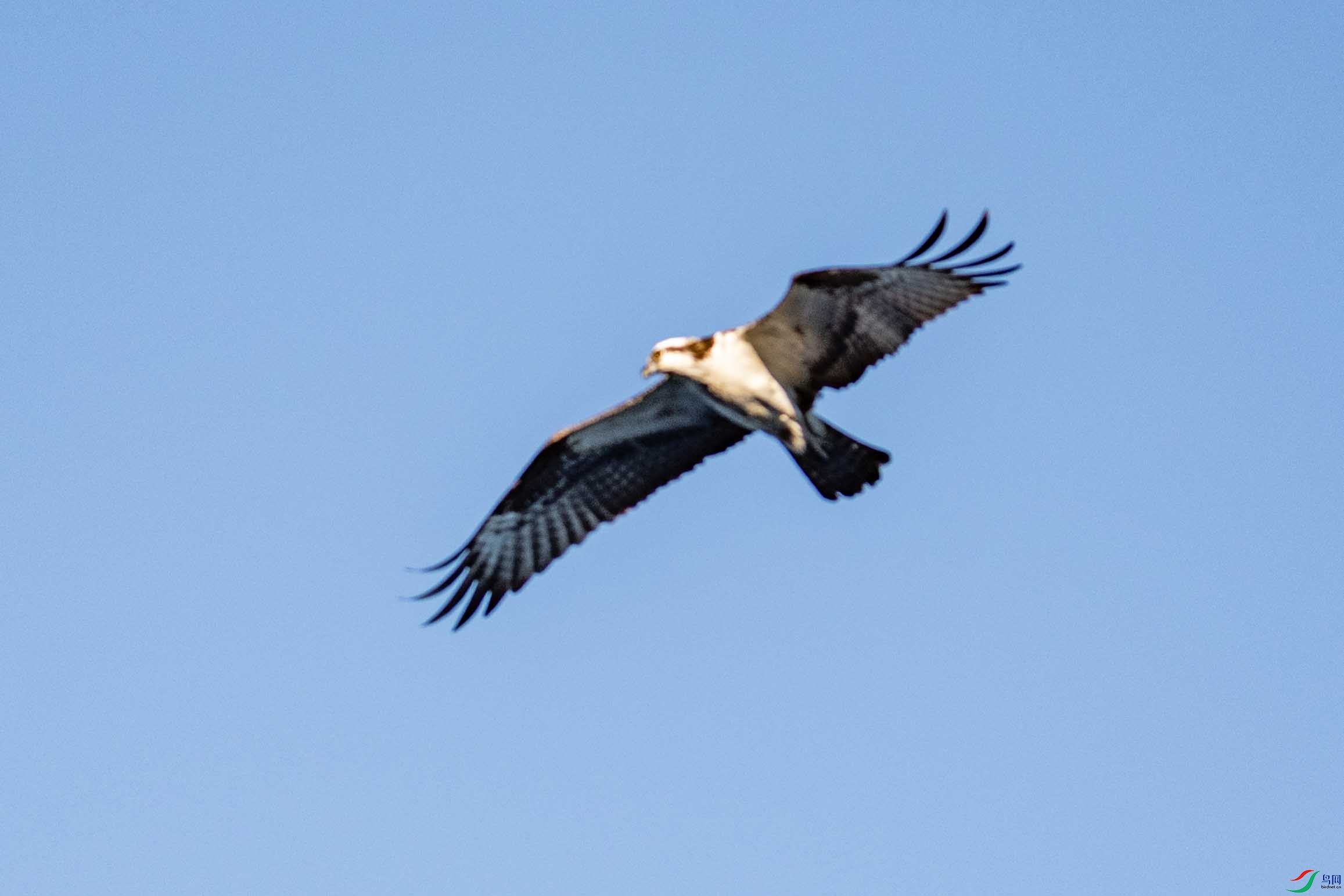 DSC_6425 ���� 2.jpg