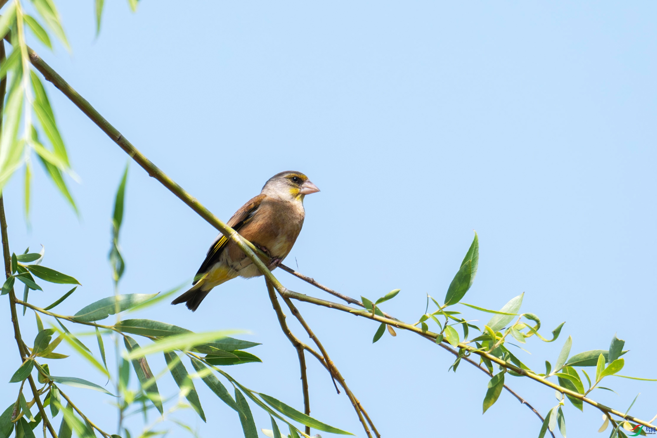 DSC_8953.jpg