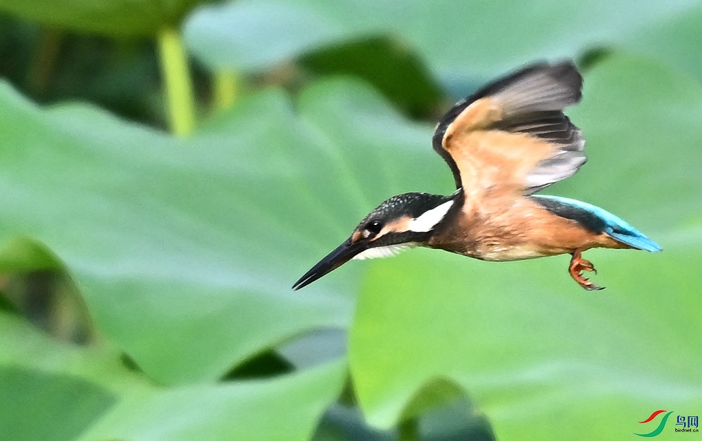DSC_4082.JPG