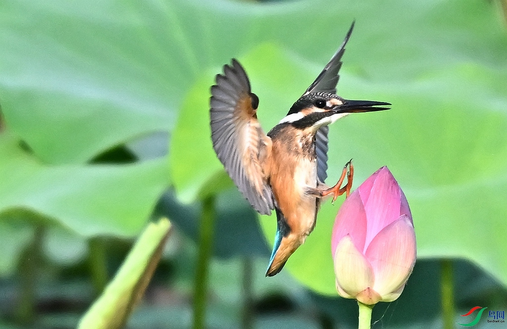 DSC_4112.JPG