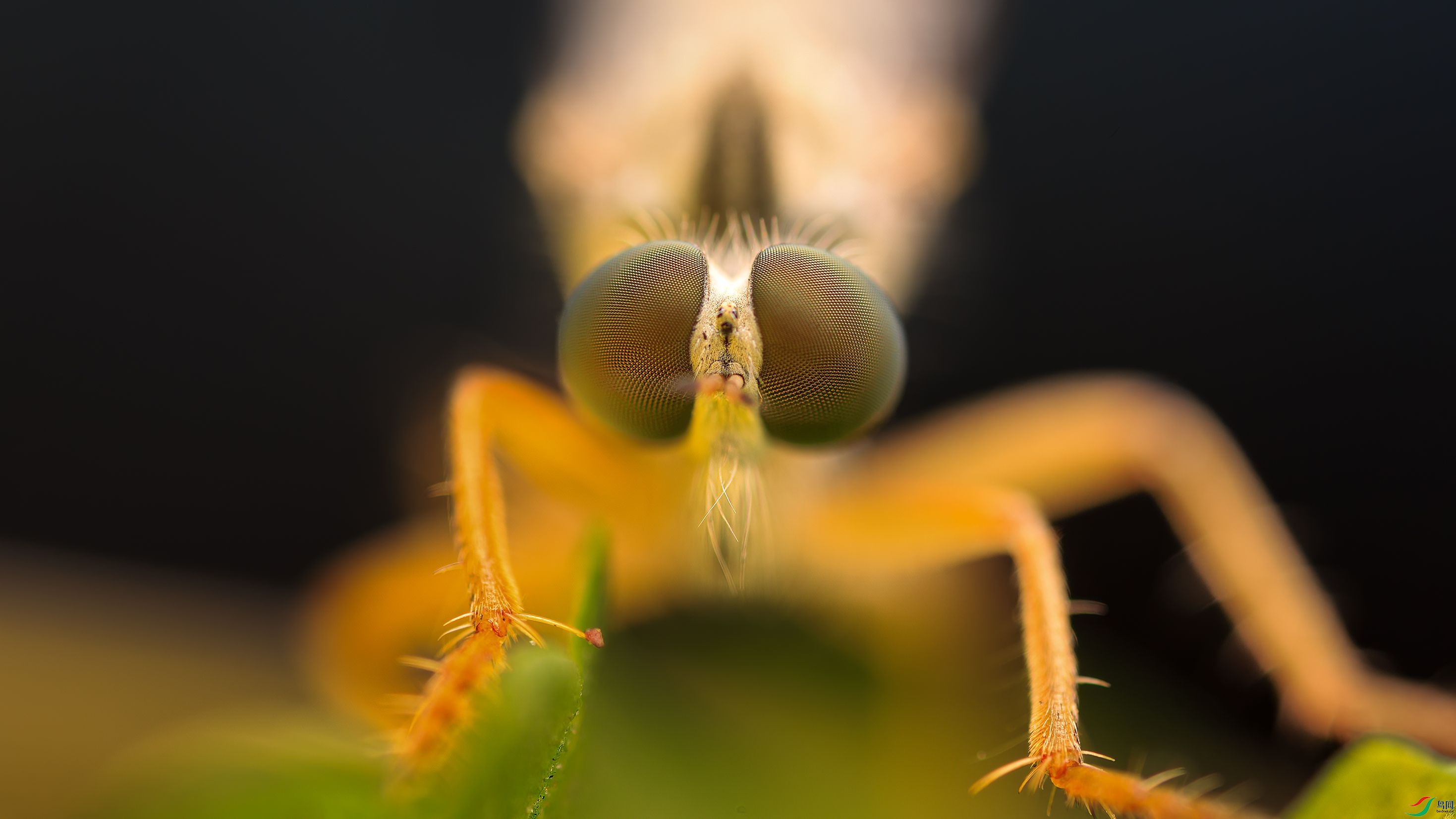 7G9A1277-1_����.jpg