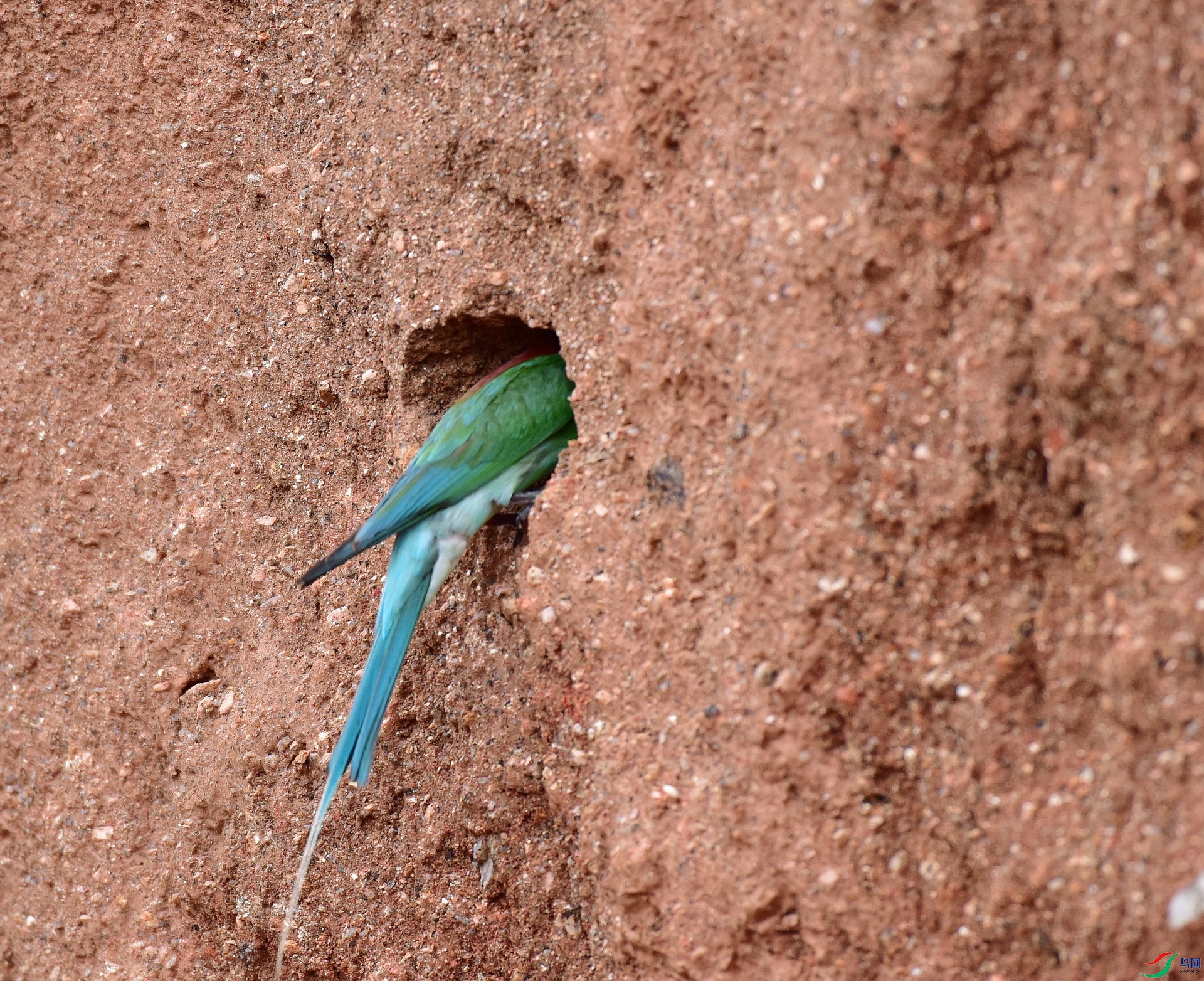 D8I_3875.jpg