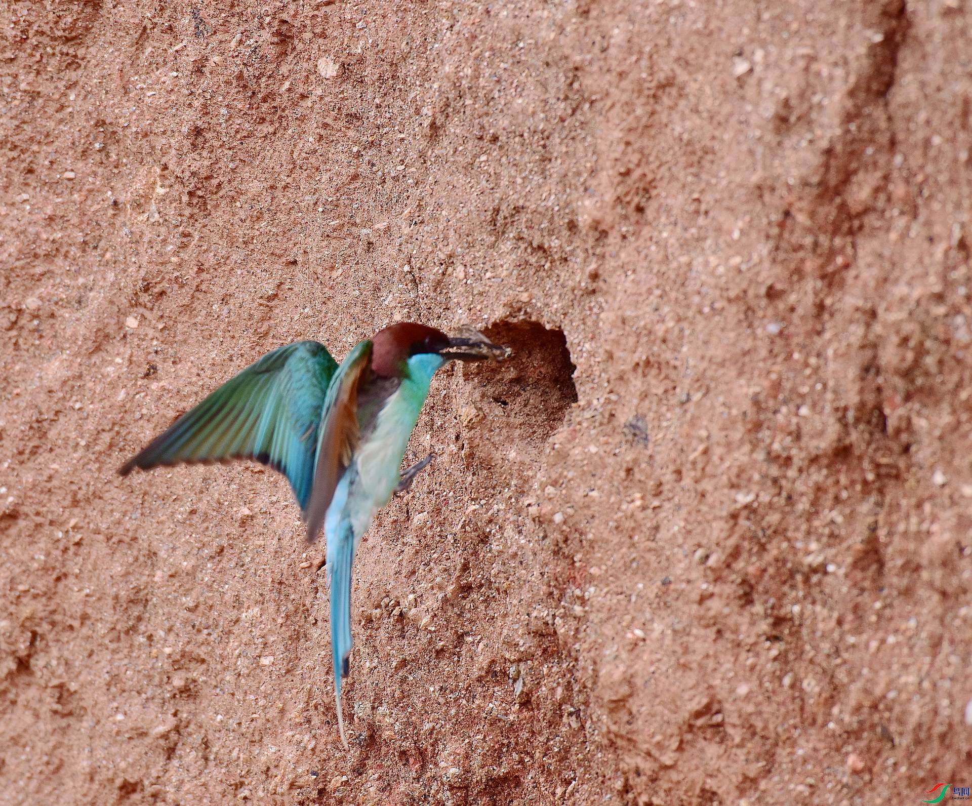 D8I_3900.jpg