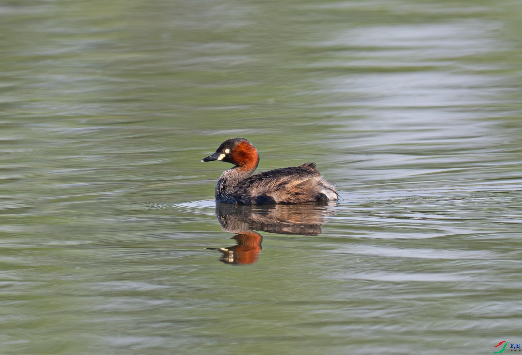 _DSC7060f.jpg
