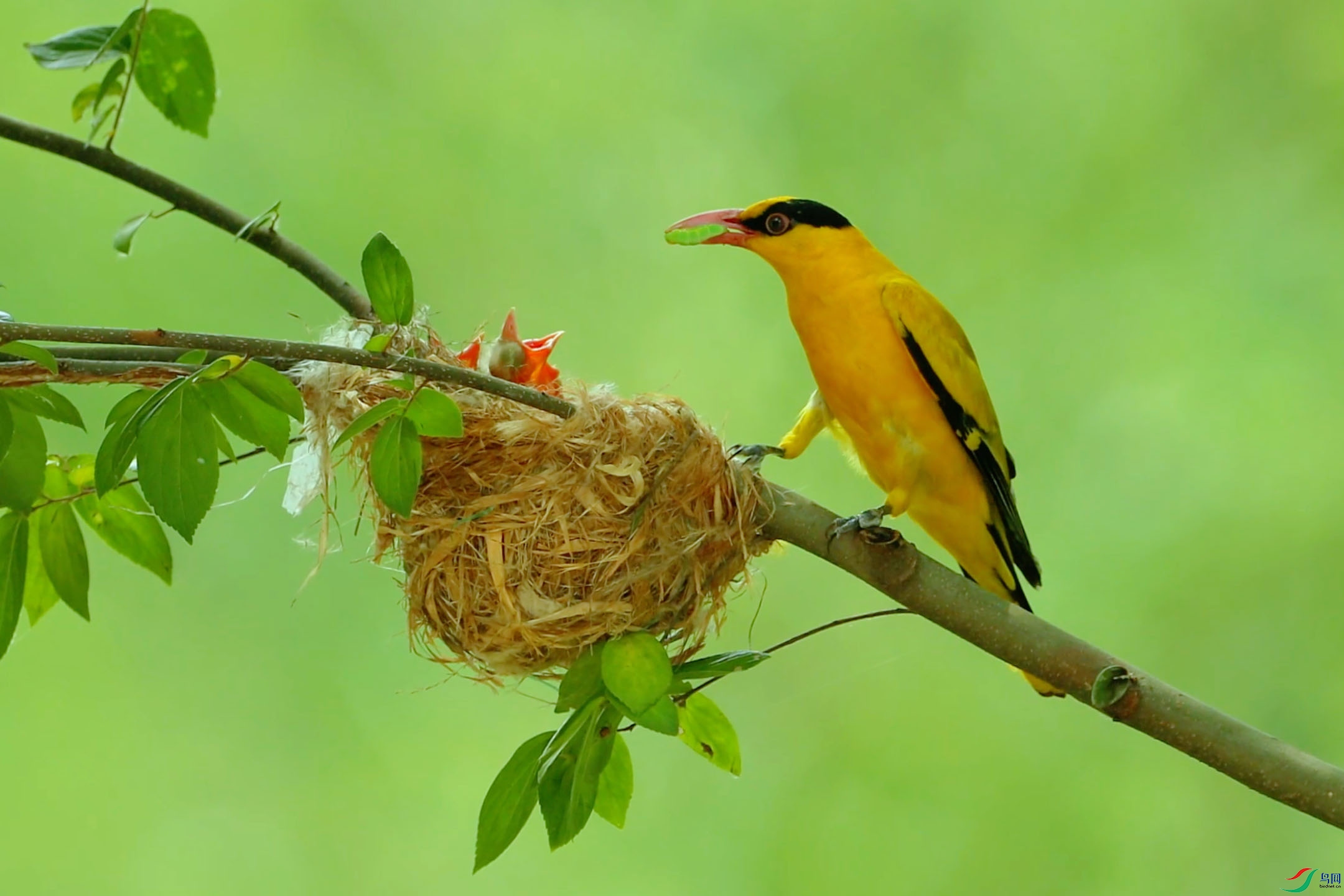 6��24�� ����.jpg