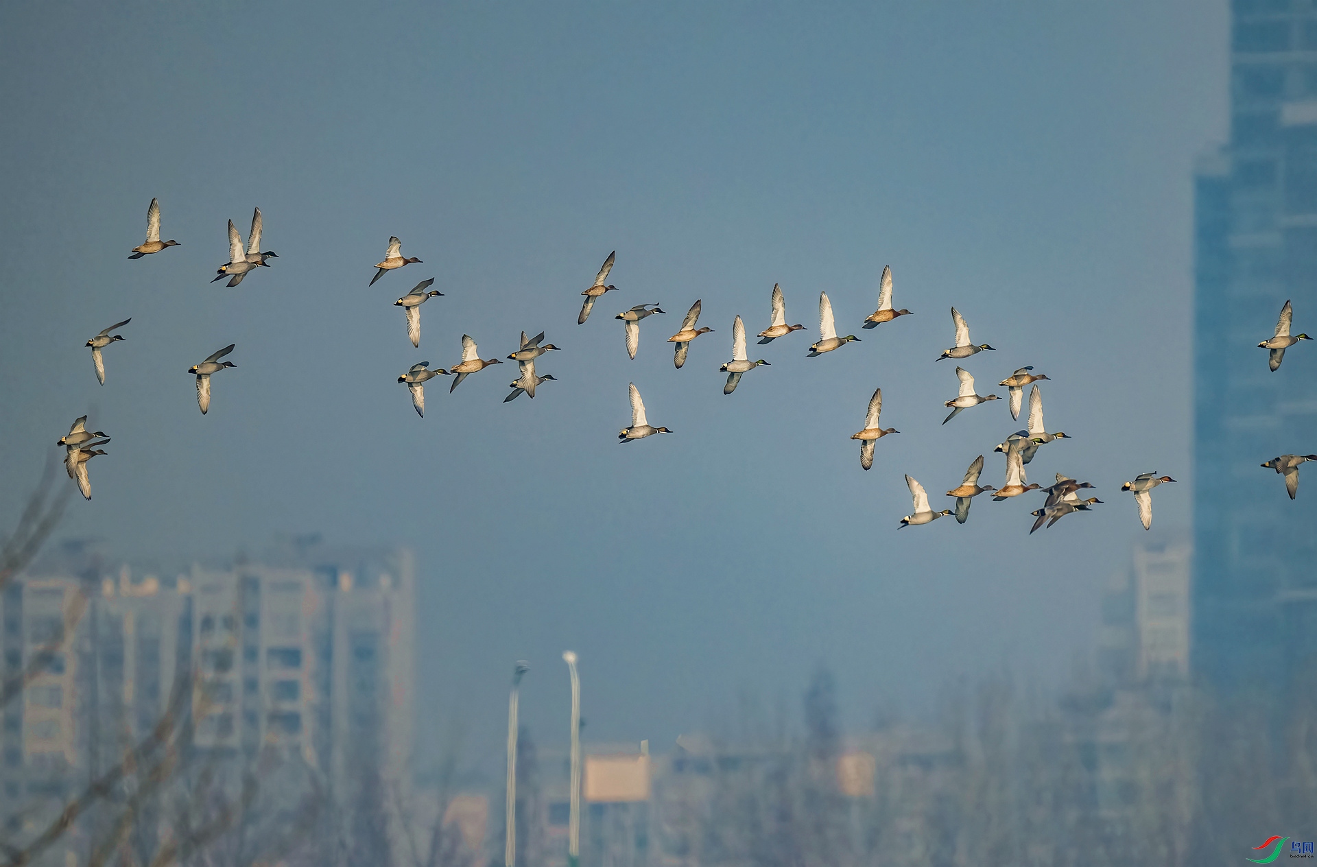 DSC_3710 ����_����.jpg